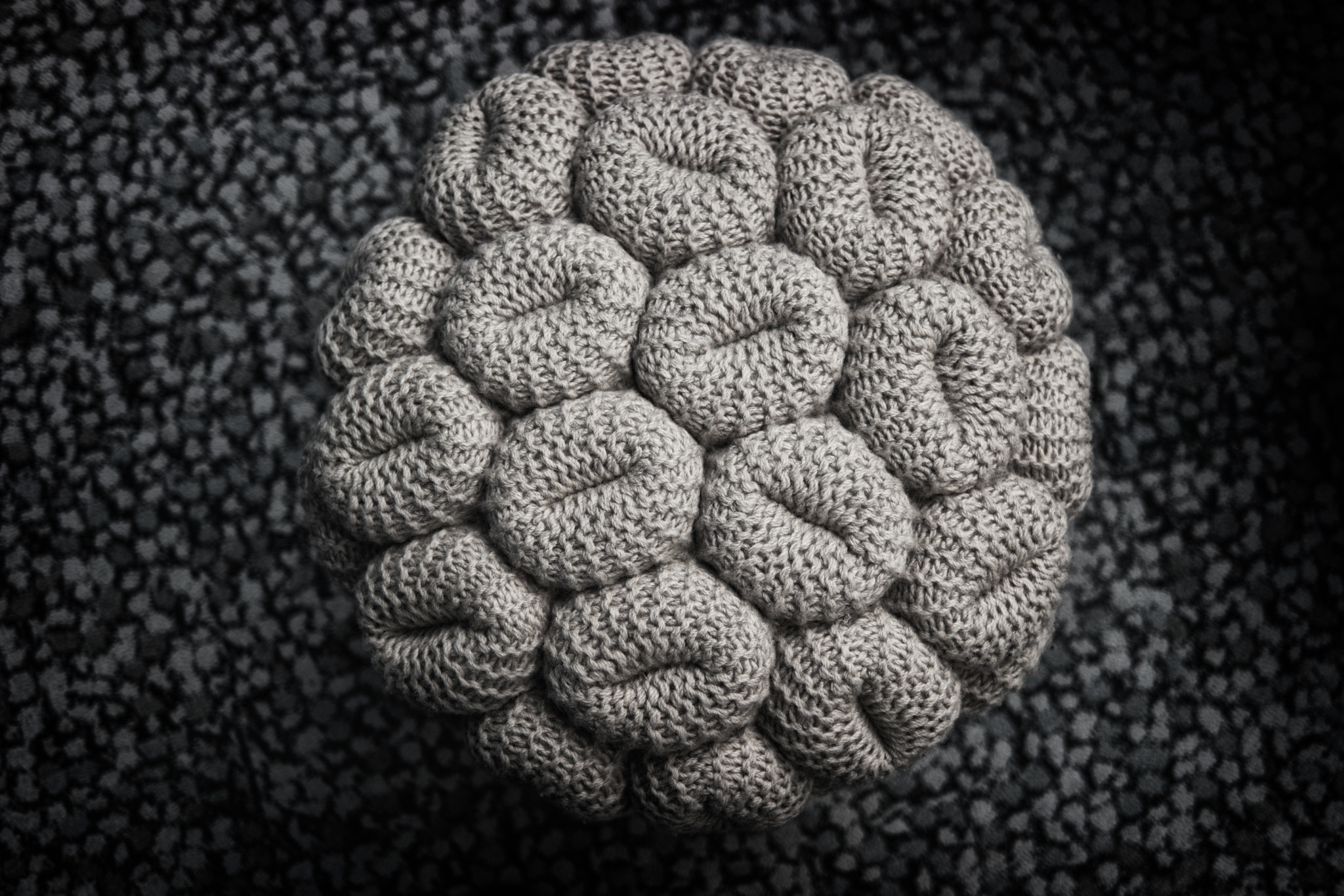 NX 30mm F2 sample photo. Brain photography