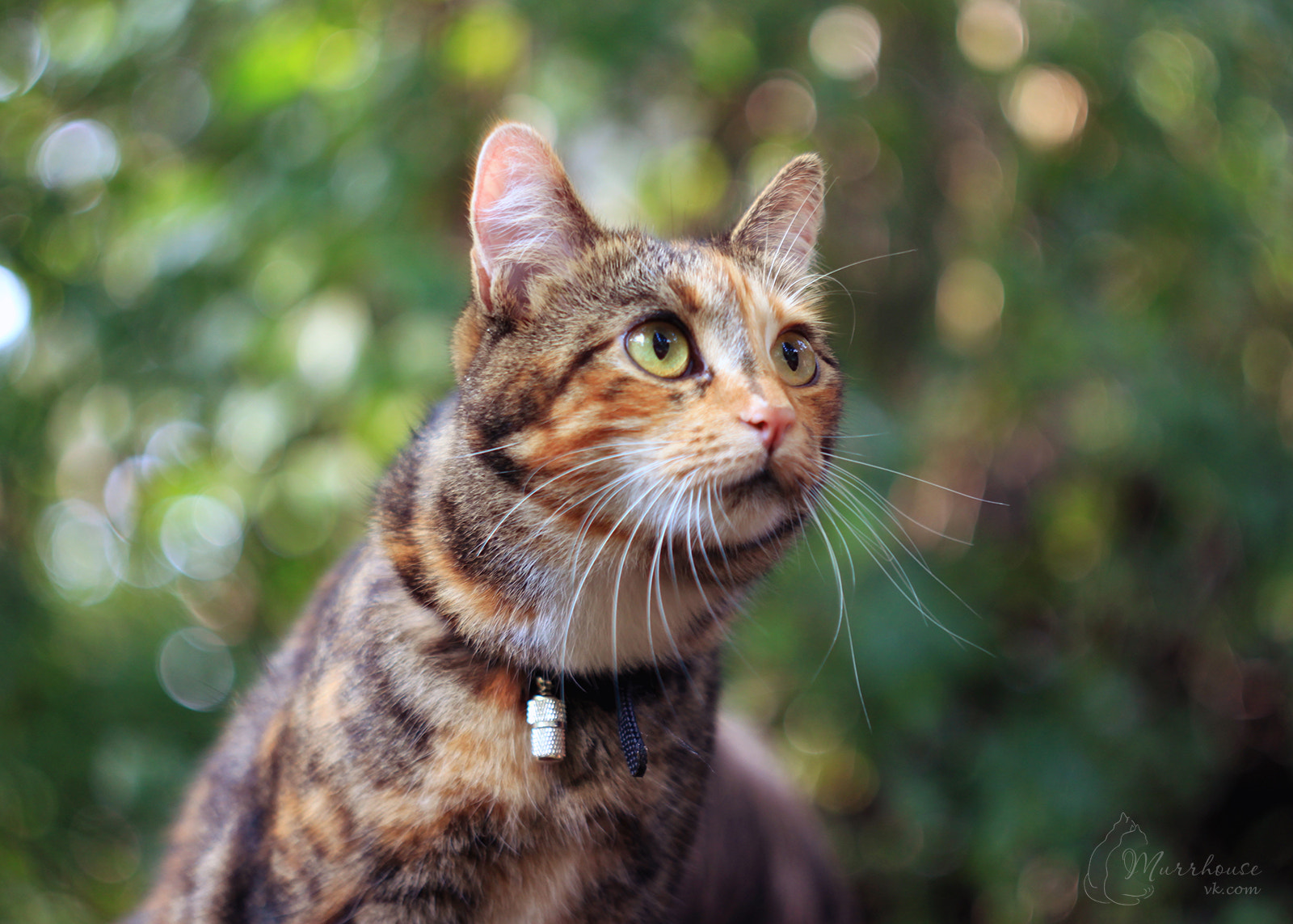 Canon EF 35-80mm f/4-5.6 sample photo. Leya photography