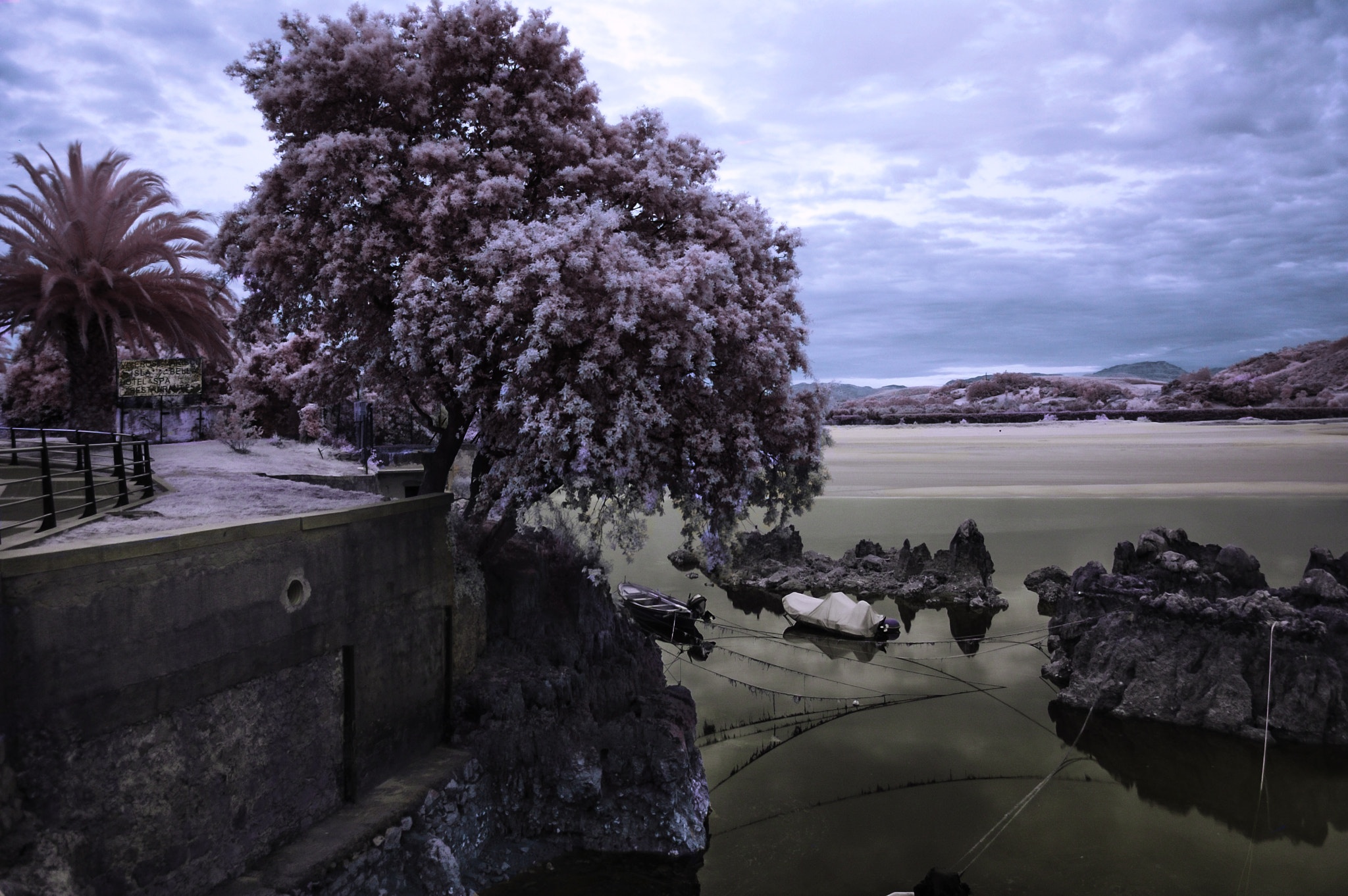 Nikon D50 sample photo. Irmarisma joyel photography
