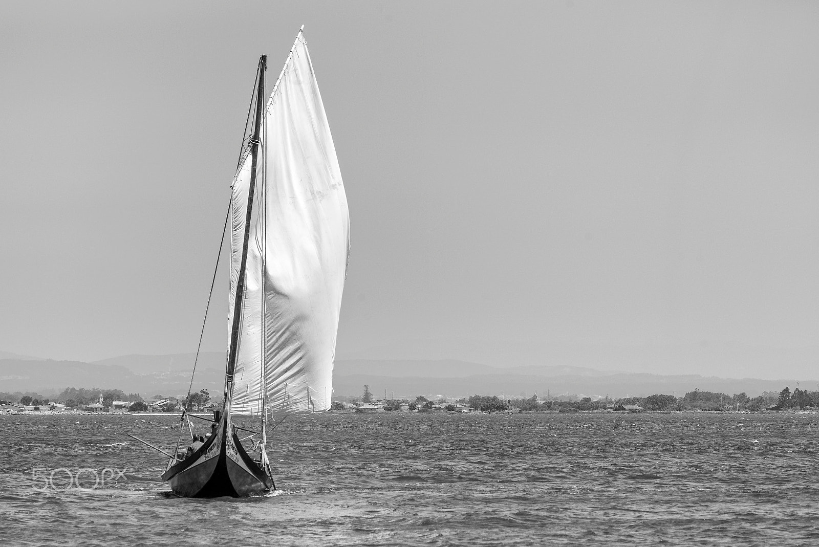 Leica APO-Telyt-M 135mm F3.4 ASPH sample photo. Moliceiro at ria de aveiro photography