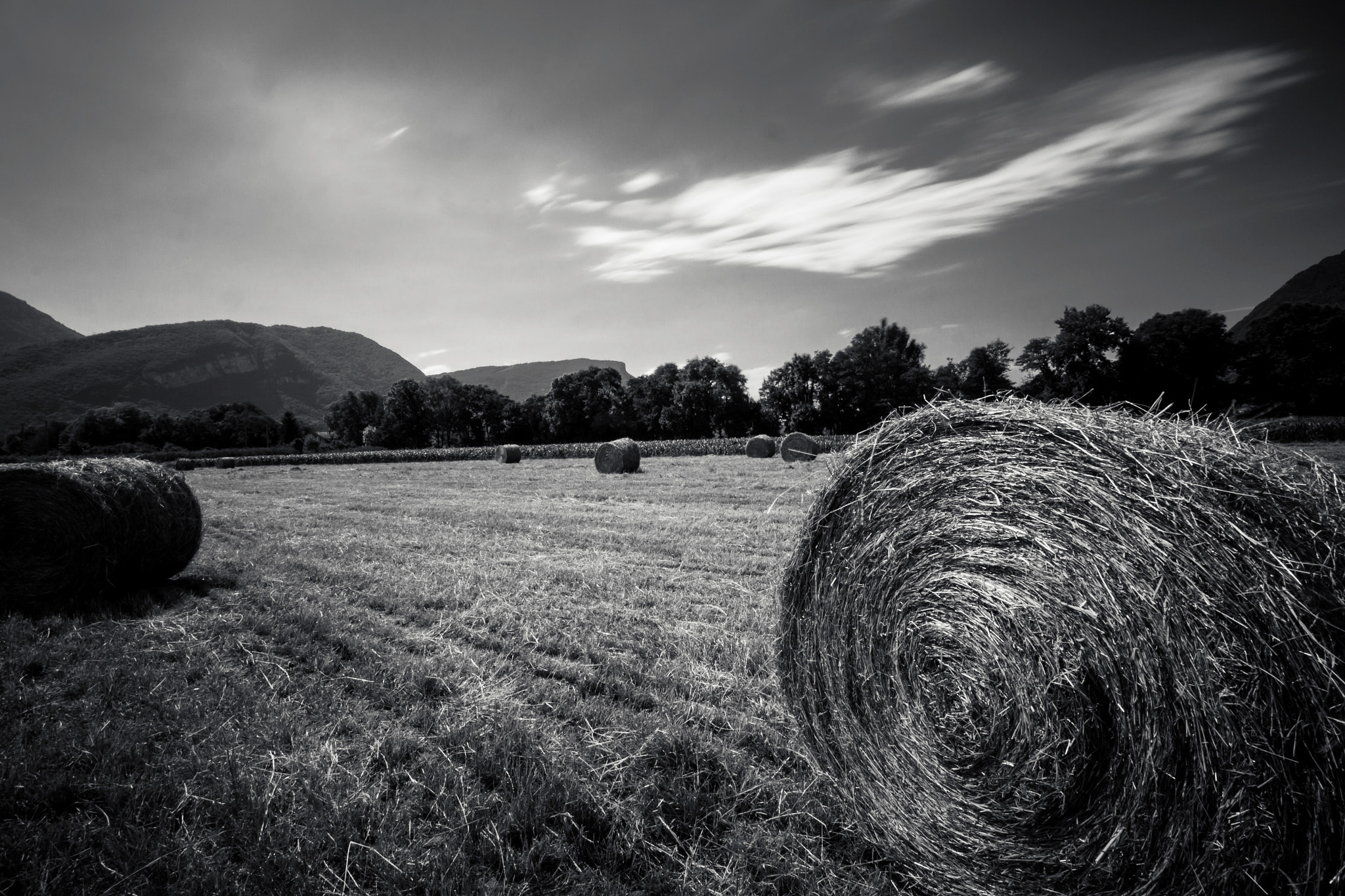 Canon EOS 700D (EOS Rebel T5i / EOS Kiss X7i) + Canon EF-S 10-18mm F4.5–5.6 IS STM sample photo. Wheat field... photography