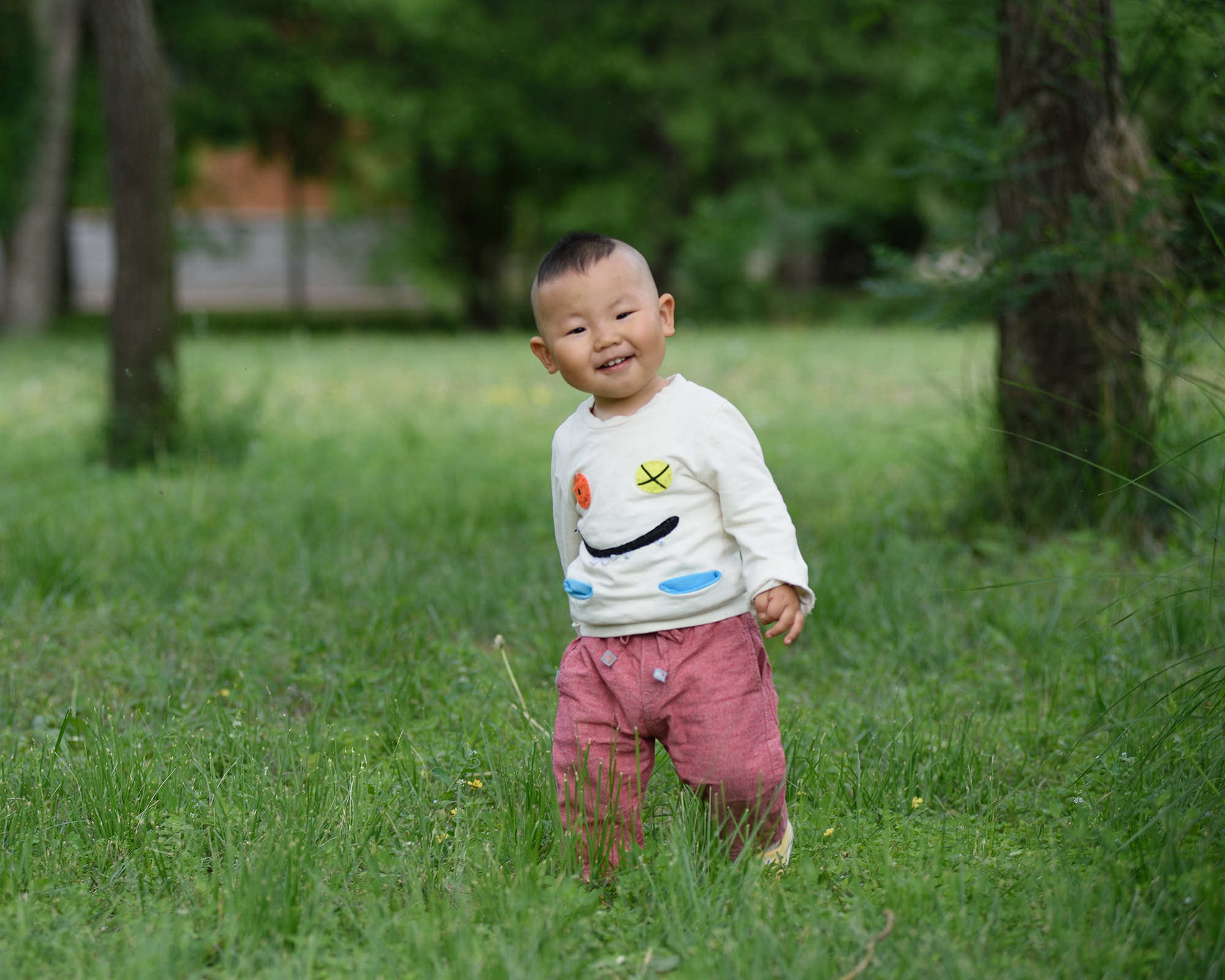 Nikon AF-Nikkor 80-200mm F2.8D ED sample photo. 开心果 photography