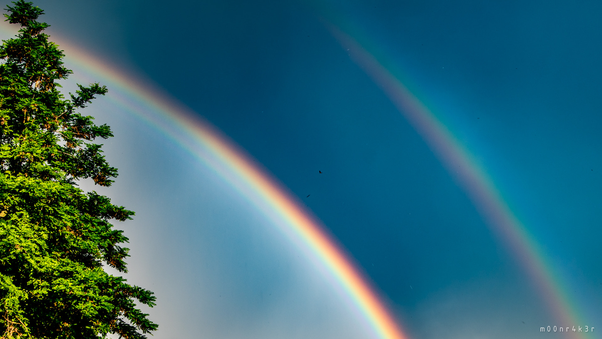 Tamron AF 28-75mm F2.8 XR Di LD Aspherical (IF) sample photo. Twin bow photography