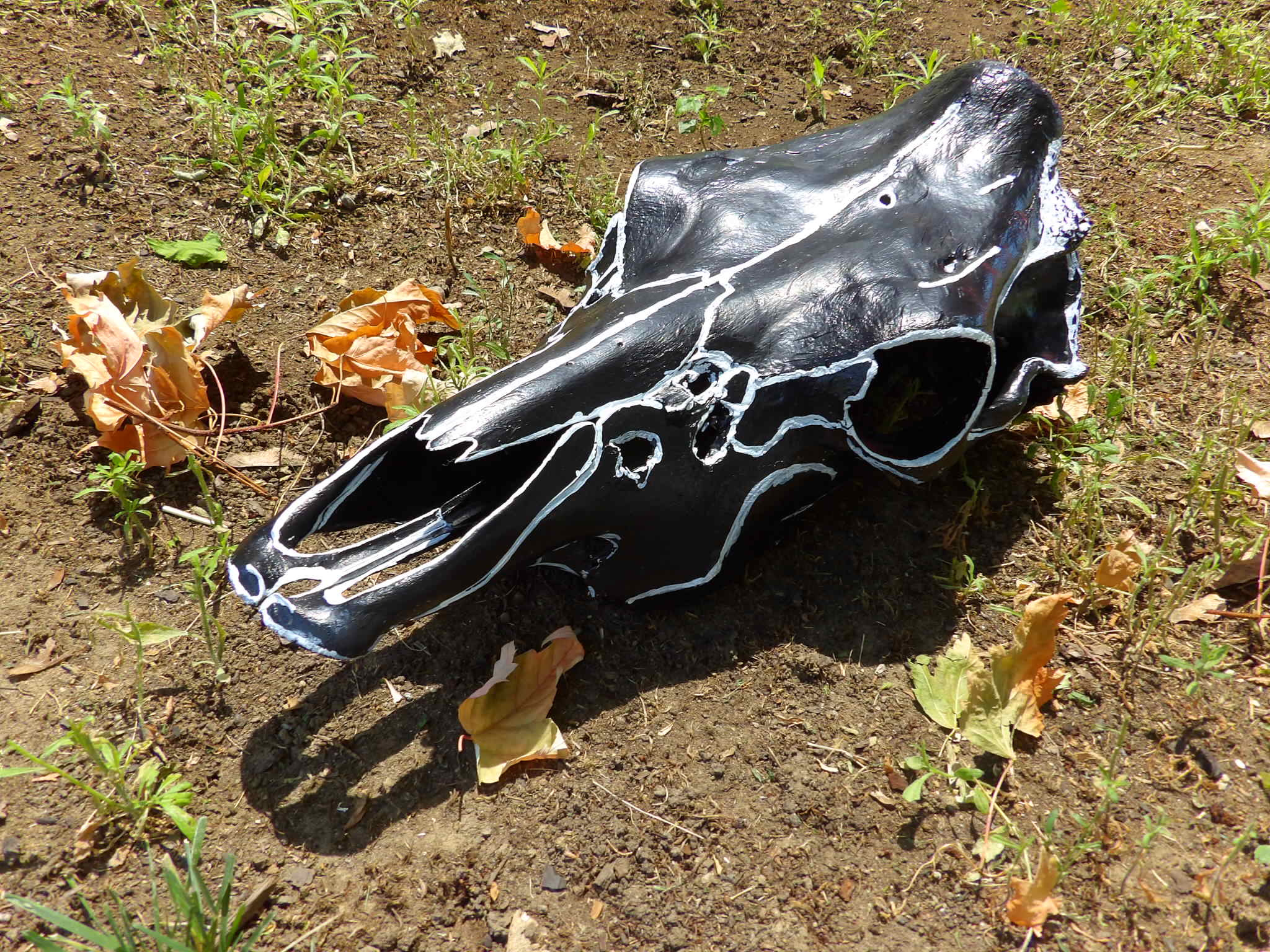 Kodak PIXPRO AZ521 sample photo. Cow skull photography