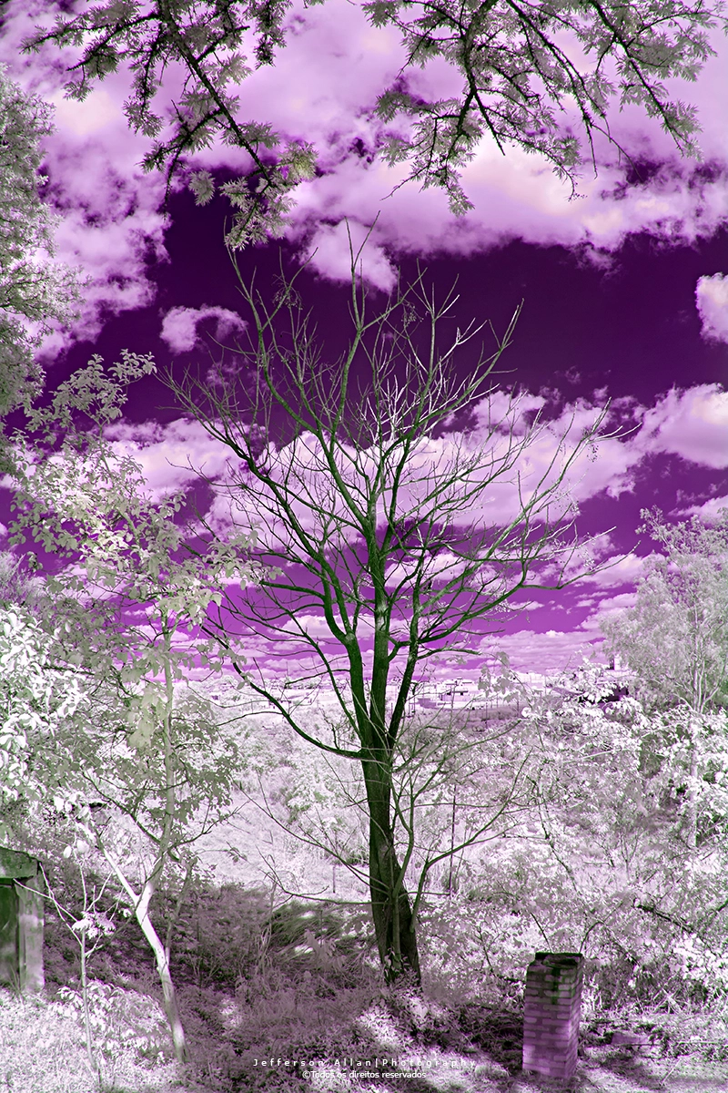 Canon EF 8-15mm F4L Fisheye USM sample photo. Infrared photography