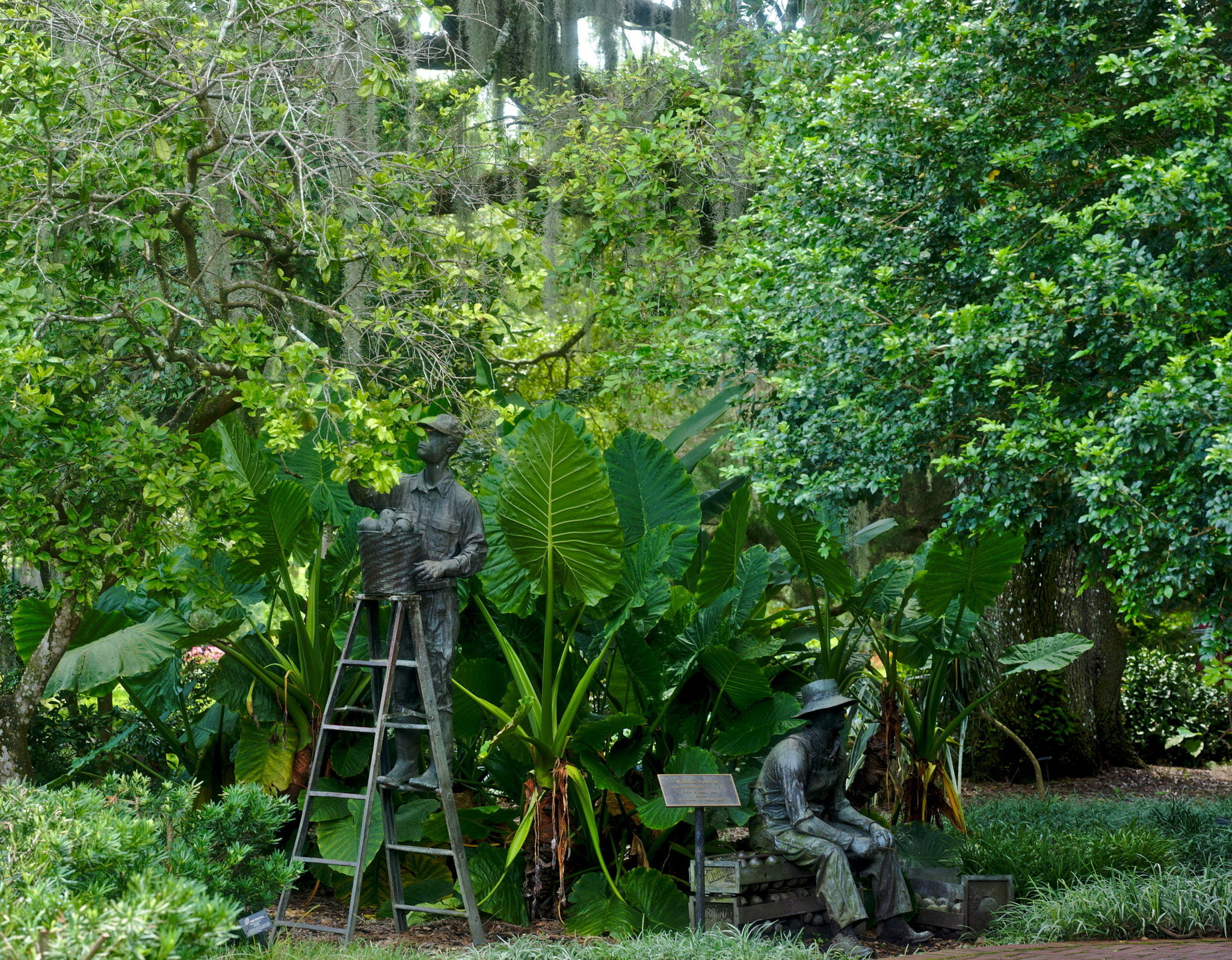Manual Lens No CPU sample photo. Citrus workers i by william ludwig photography
