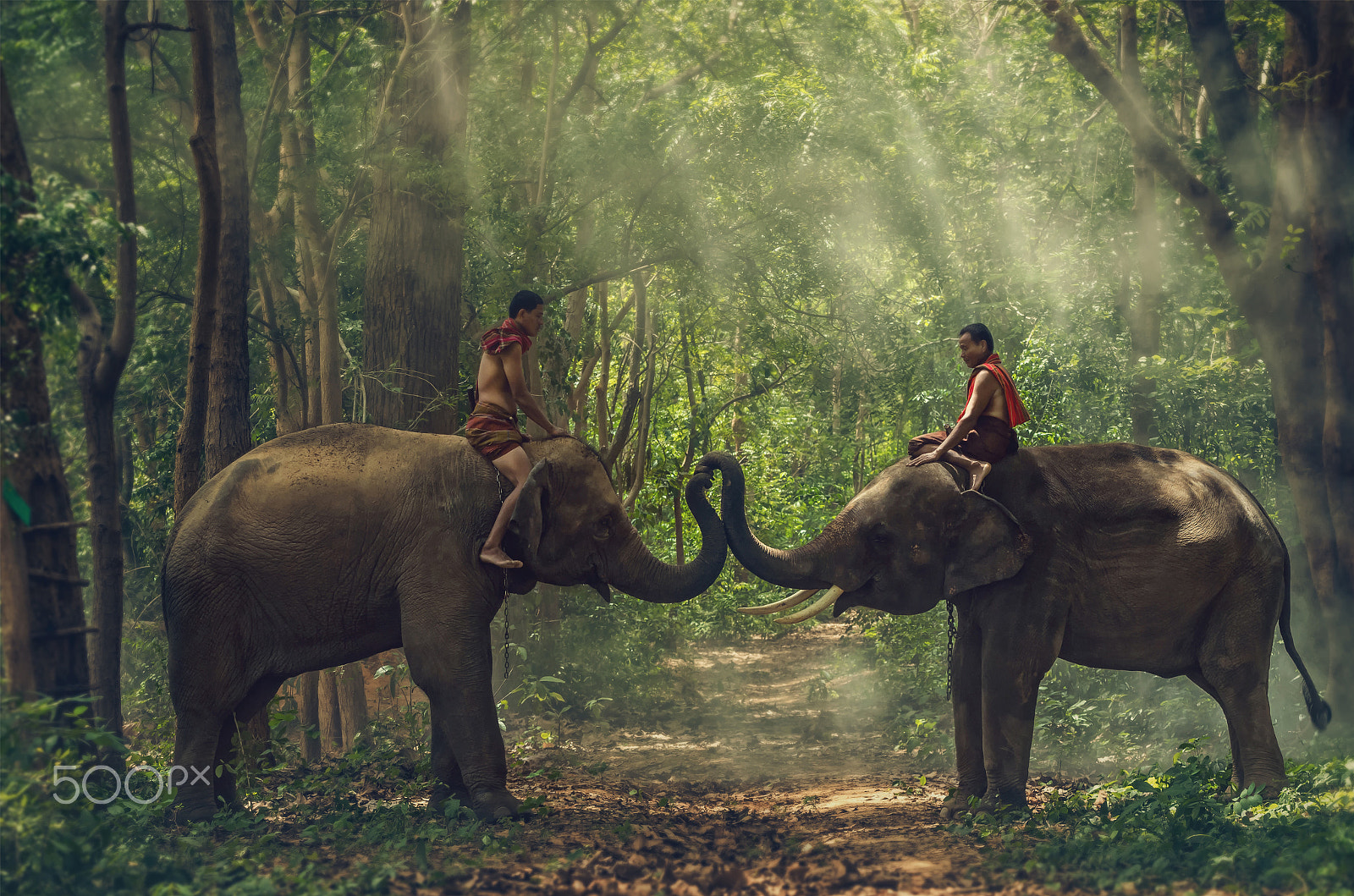 Pentax K-5 IIs sample photo. Two mahout riding the elephants in the deep forest photography