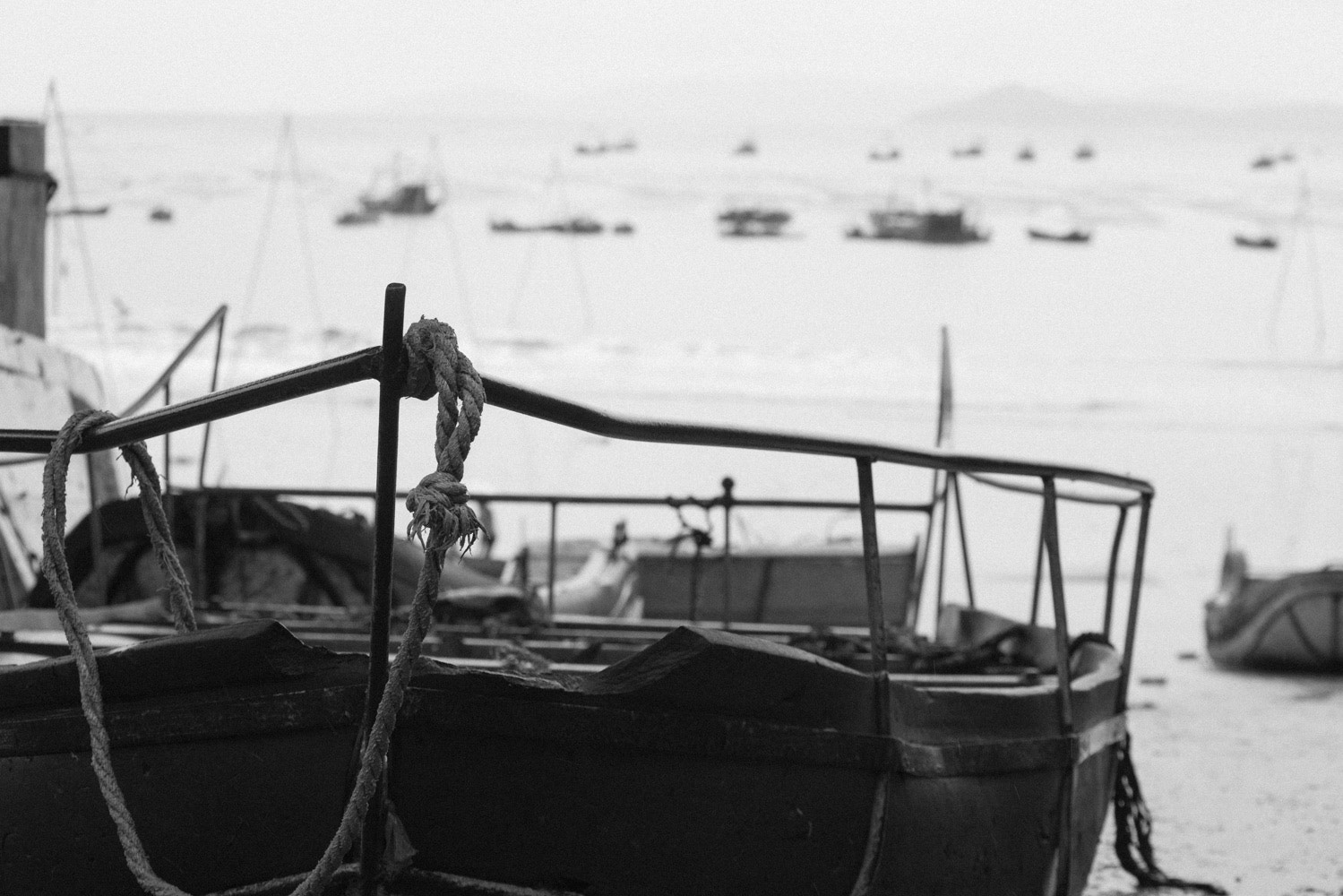 Nikon D800 + AF Nikkor 70-210mm f/4-5.6 sample photo