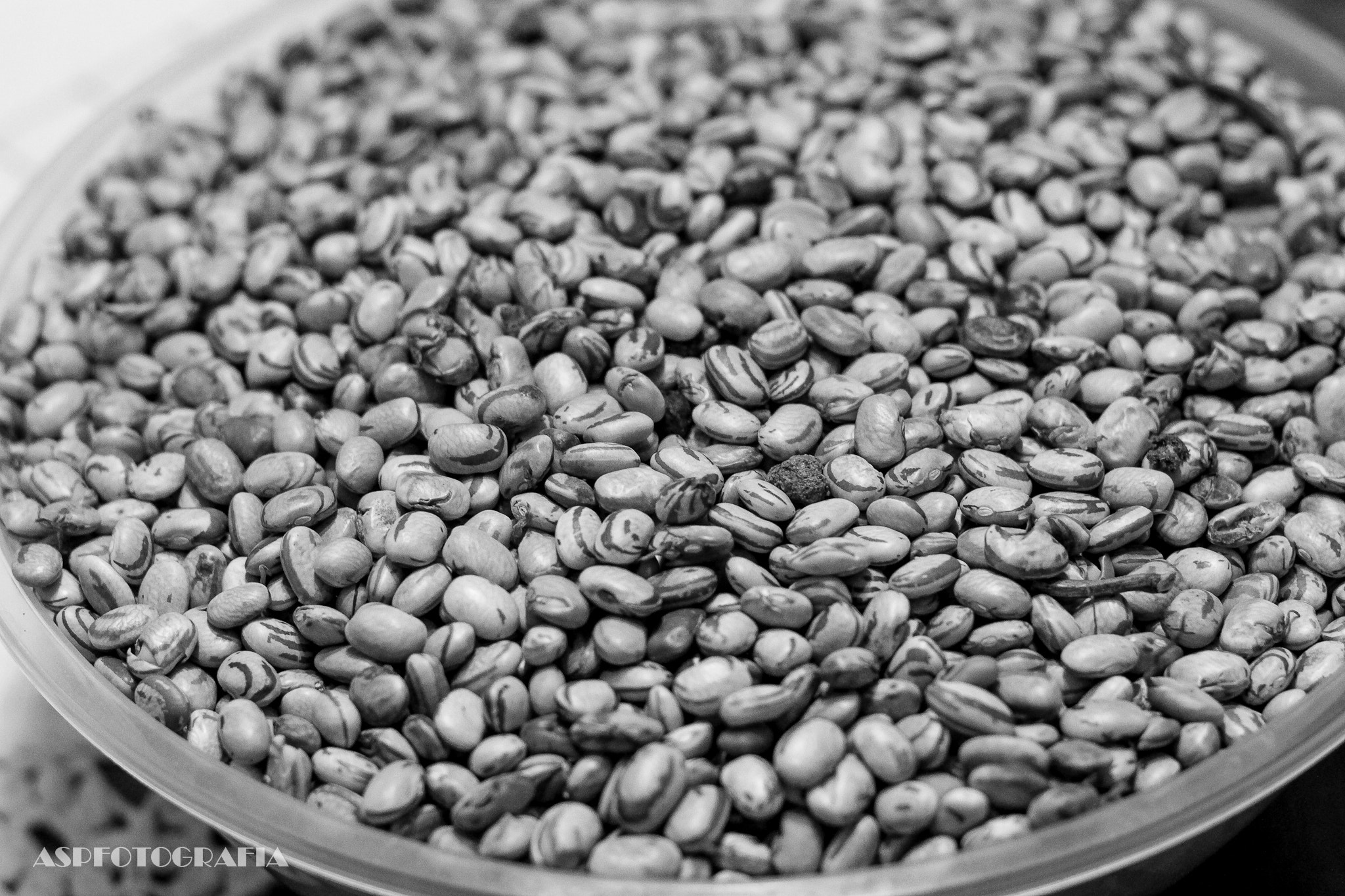Canon EOS 700D (EOS Rebel T5i / EOS Kiss X7i) + Canon EF 50mm F1.8 II sample photo. Bean photography