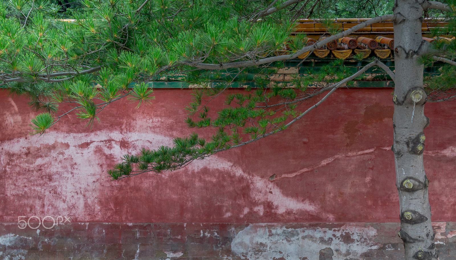 Sony Alpha NEX-7 + Sony Vario-Tessar T* E 16-70mm F4 ZA OSS sample photo. Summer palace, beijing, china photography