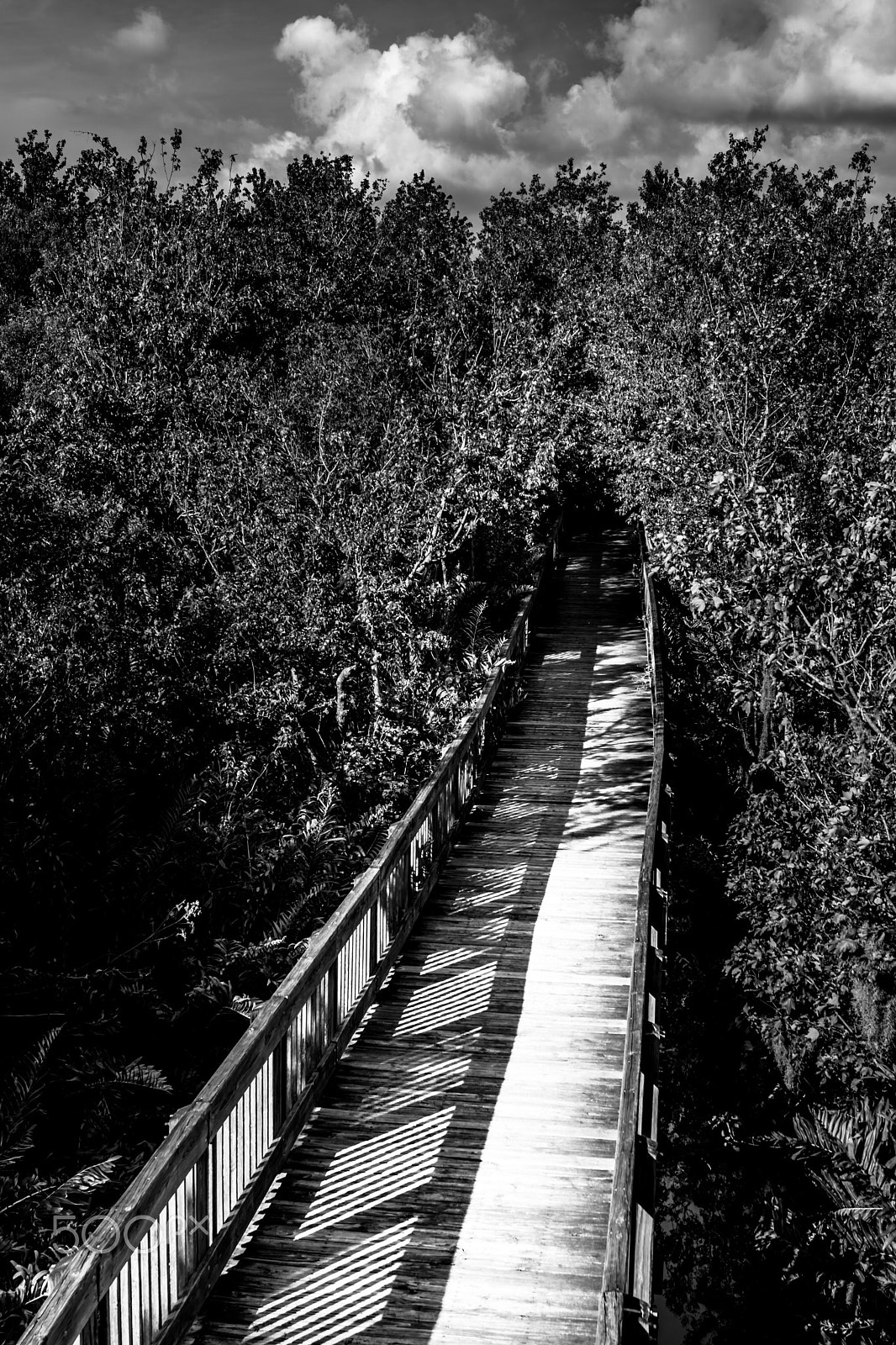 Sony DT 18-55mm F3.5-5.6 SAM II sample photo. Sawgrass lake park bridge photography