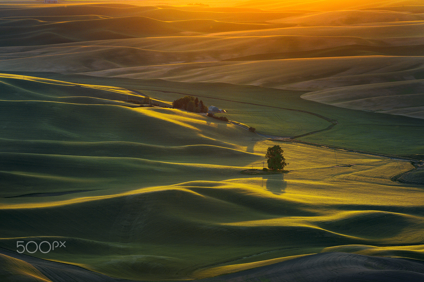 Nikon D4 sample photo. Palouse photography