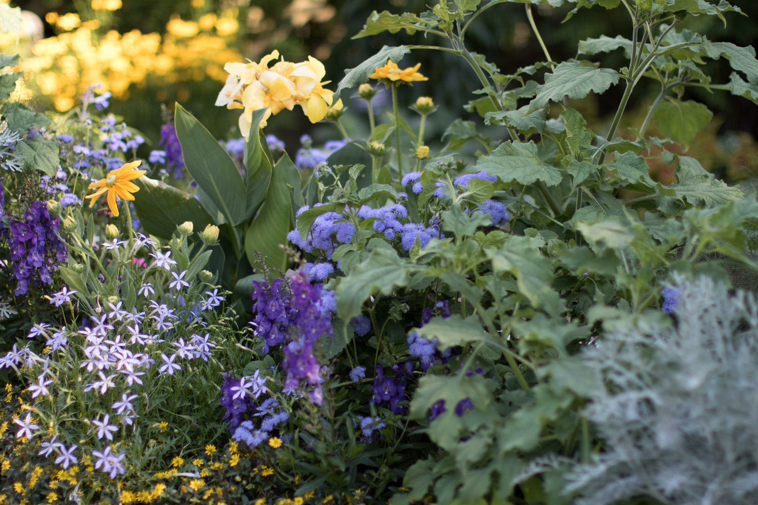 Canon EF 50mm F1.2L USM sample photo. Enabling gardens @ botanical gardens photography