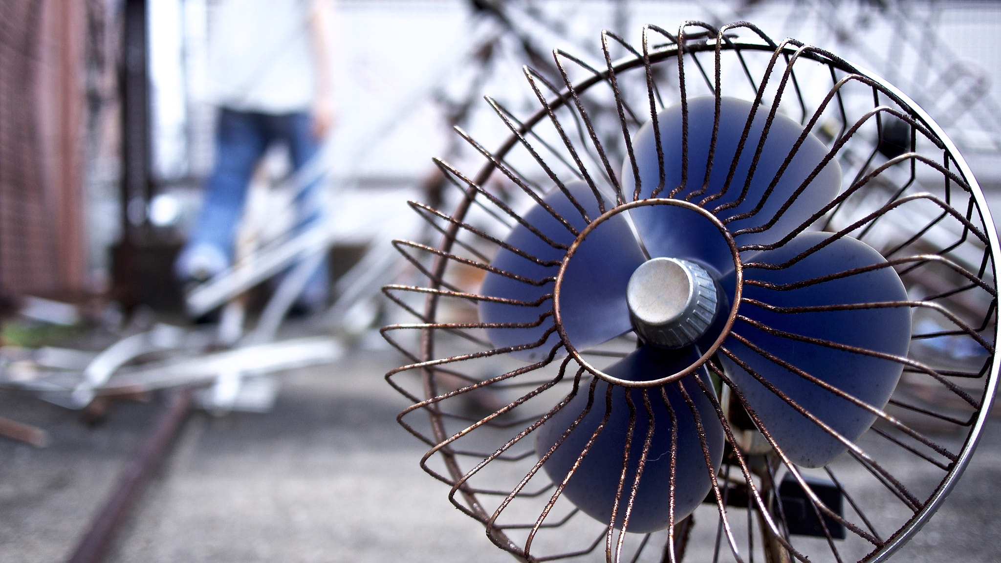 Panasonic Lumix DMC-GH4 + LUMIX G 20/F1.7 II sample photo. Junk fan photography