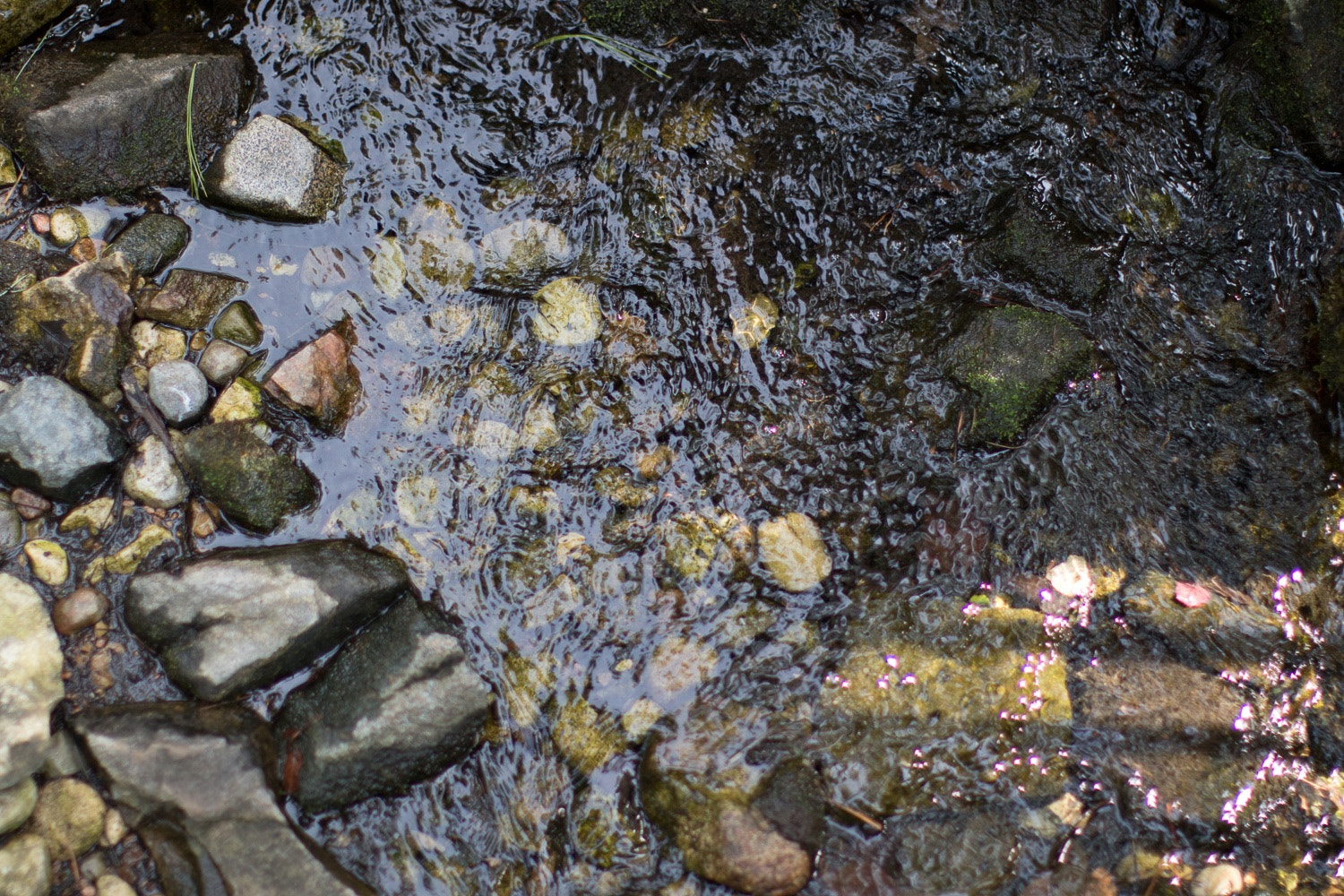 Canon EF 50mm F1.2L USM sample photo. Water under the bridge- photography