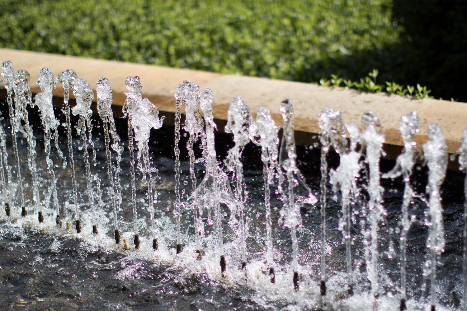 Canon EF 50mm F1.2L USM sample photo. Dancing water @ botanical gardens chicago photography