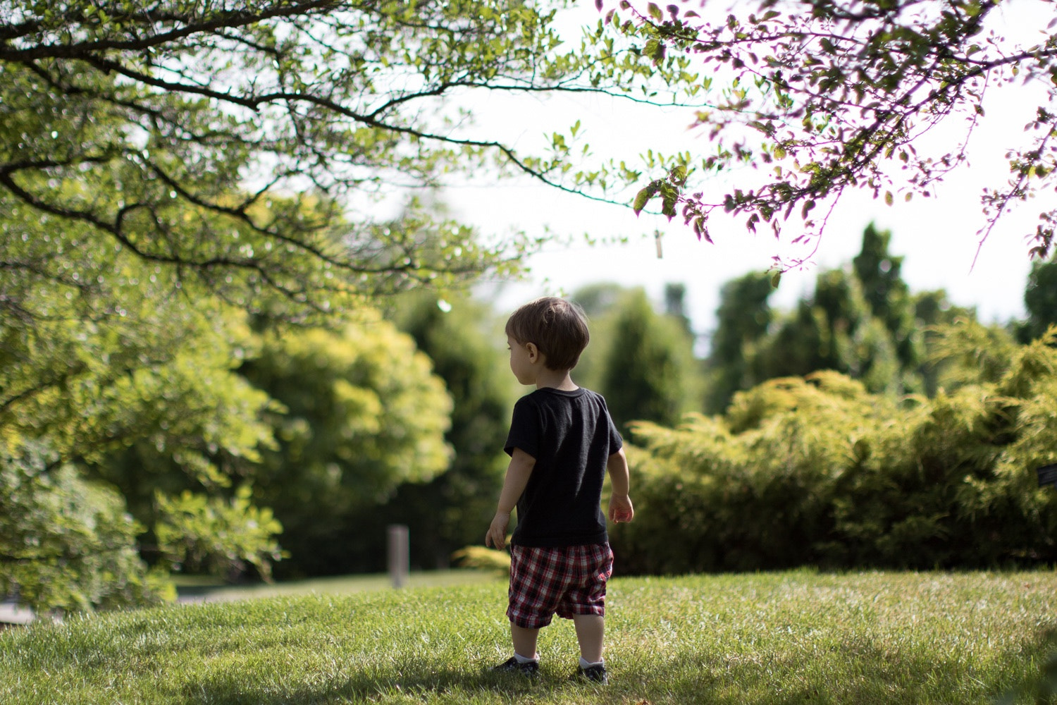 Canon EF 50mm F1.2L USM sample photo. Paving his own path- photography