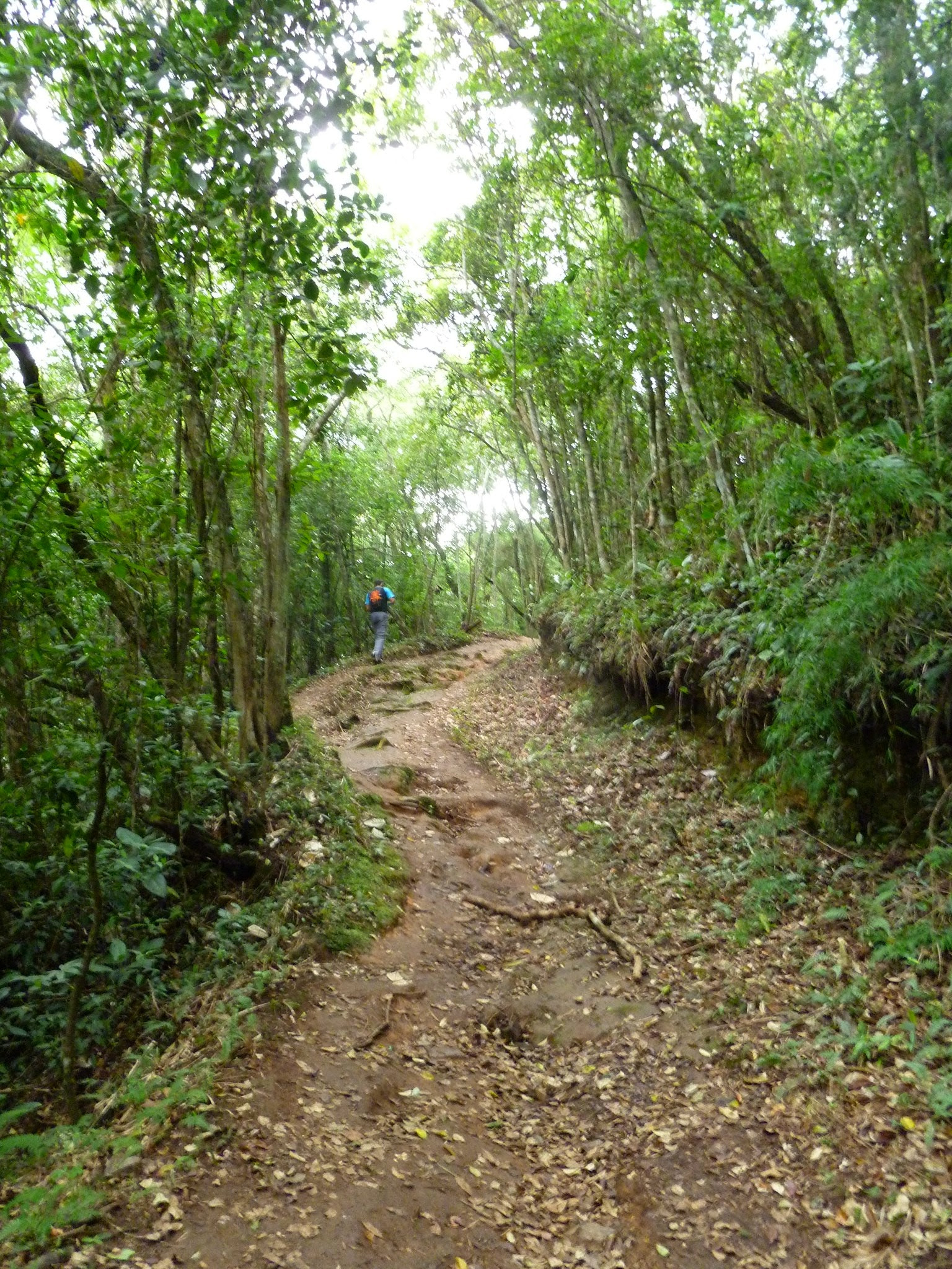 Panasonic DMC-FH20 sample photo. Montaña el avila, caracas, venezuela photography