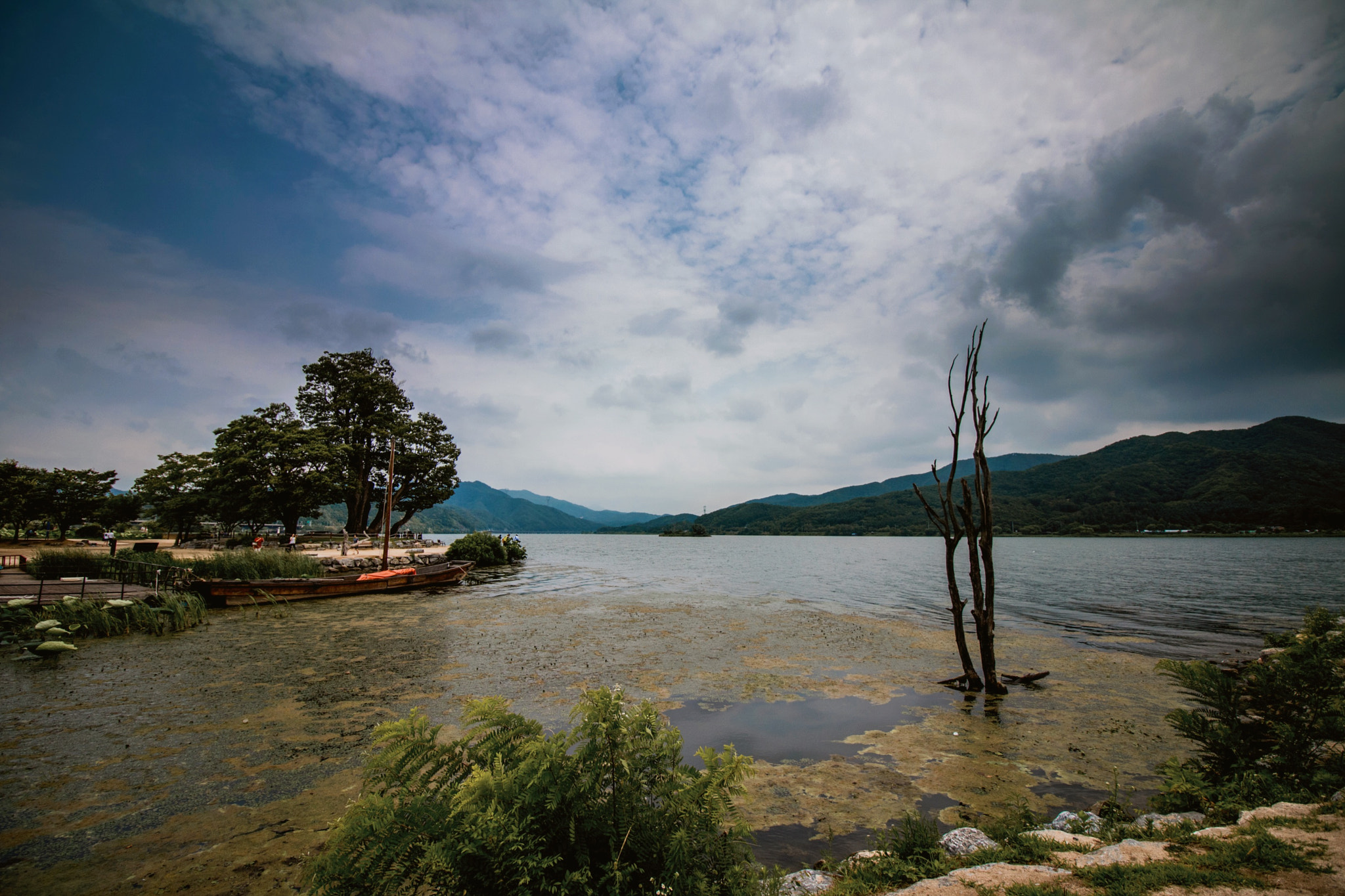 Canon EF-S 10-18mm F4.5–5.6 IS STM sample photo. #0630 photography