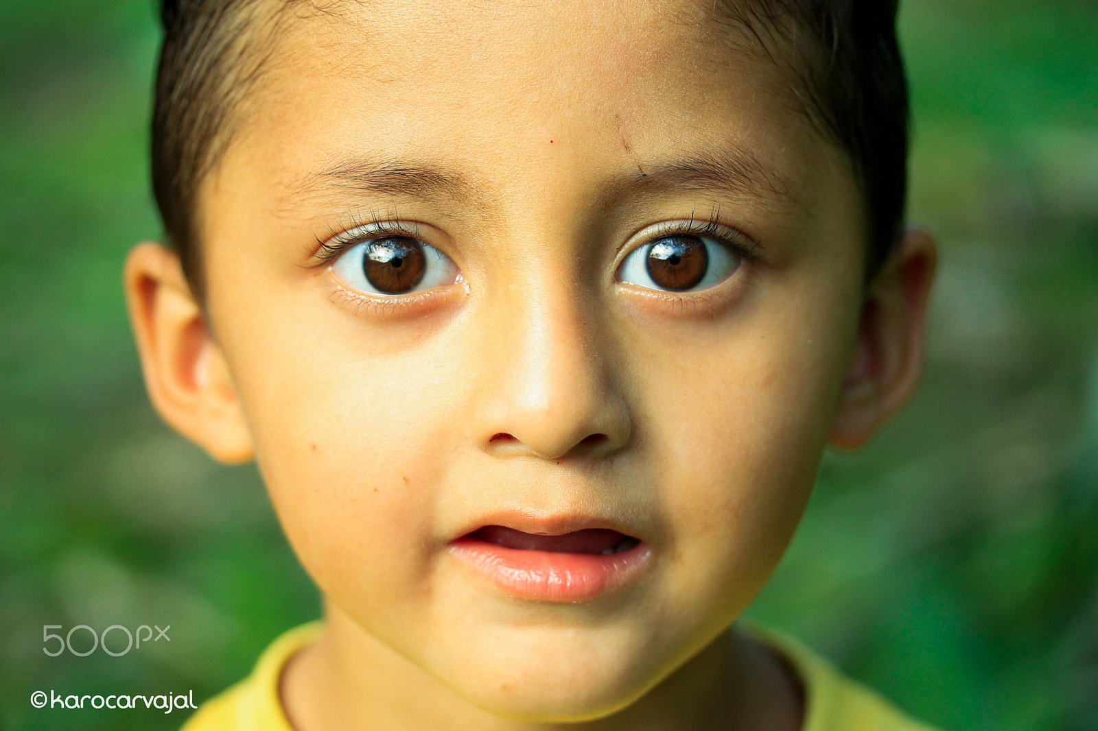 Canon EF-S 60mm F2.8 Macro USM sample photo. Travieso photography