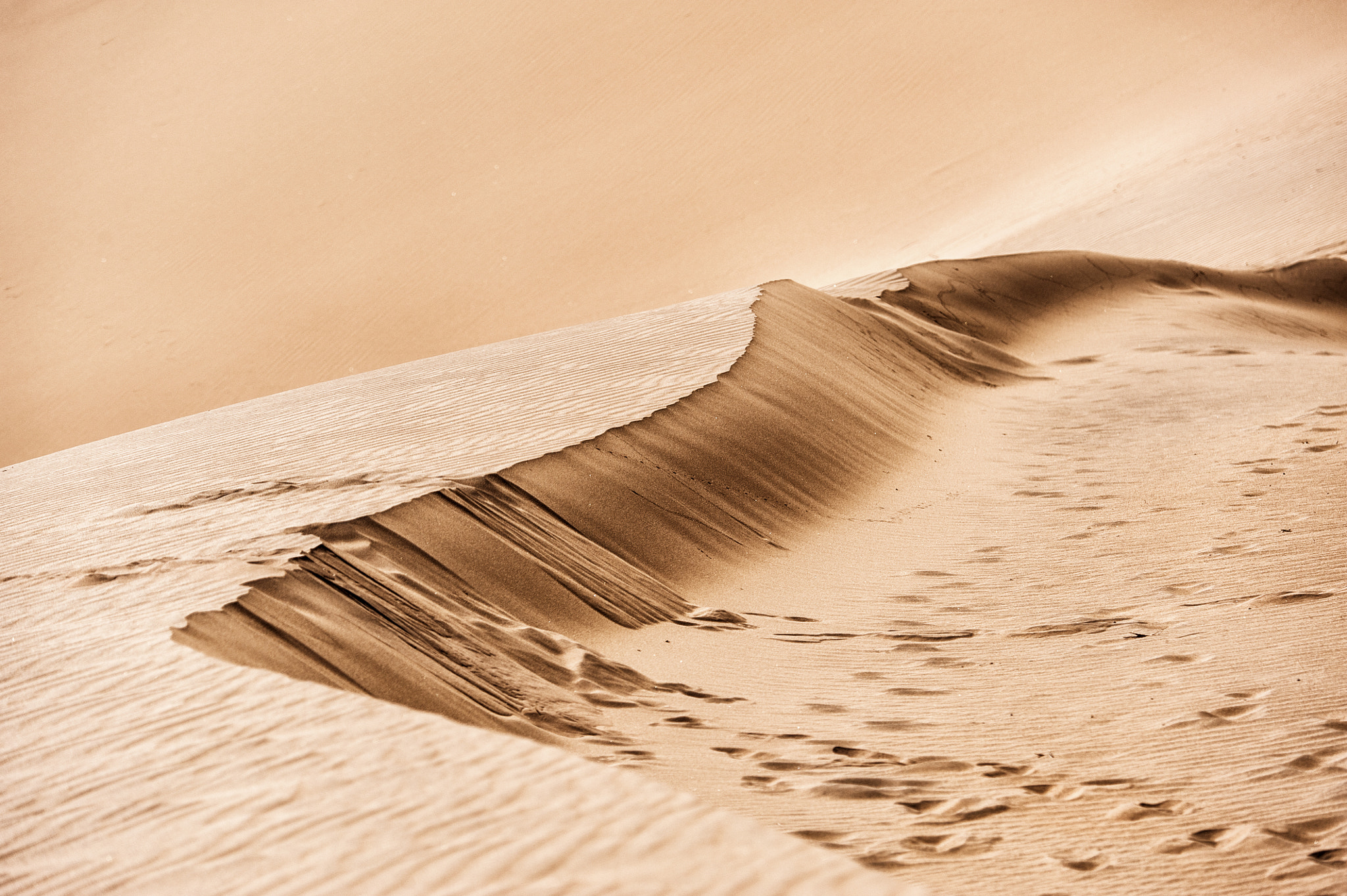 Nikon D700 + Nikon AF-S Nikkor 80-400mm F4.5-5.6G ED VR sample photo. Dunes photography