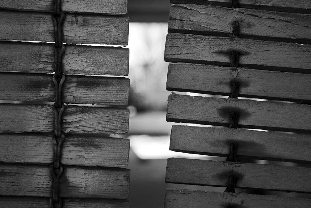 Canon EOS-1D Mark II N sample photo. Bon dia a tothom chachos photography