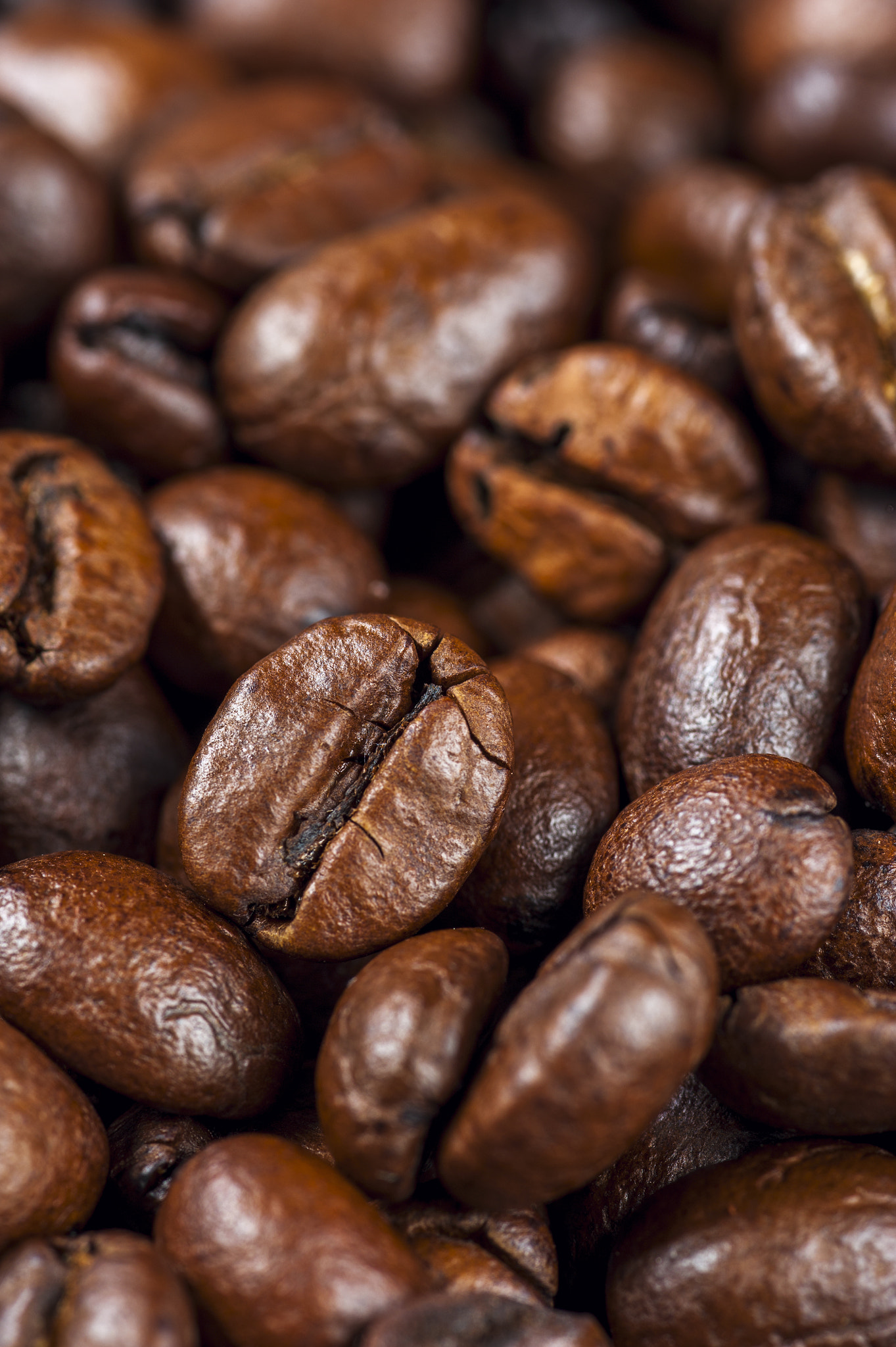 Nikon D700 + AF Micro-Nikkor 105mm f/2.8 sample photo. Roasted coffee beans background. photography