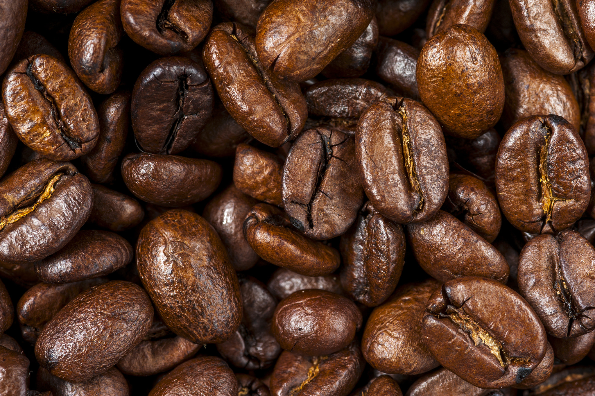 Nikon D700 + AF Micro-Nikkor 105mm f/2.8 sample photo. Roasted coffee beans background. photography