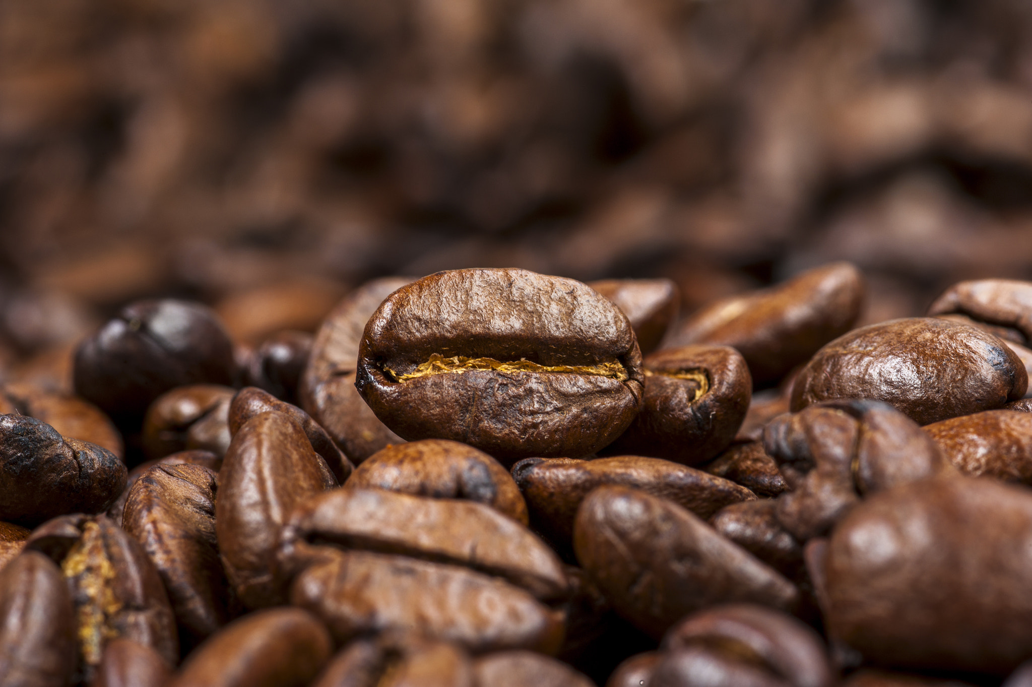 Nikon D700 + AF Micro-Nikkor 105mm f/2.8 sample photo. Roasted coffee beans background. photography