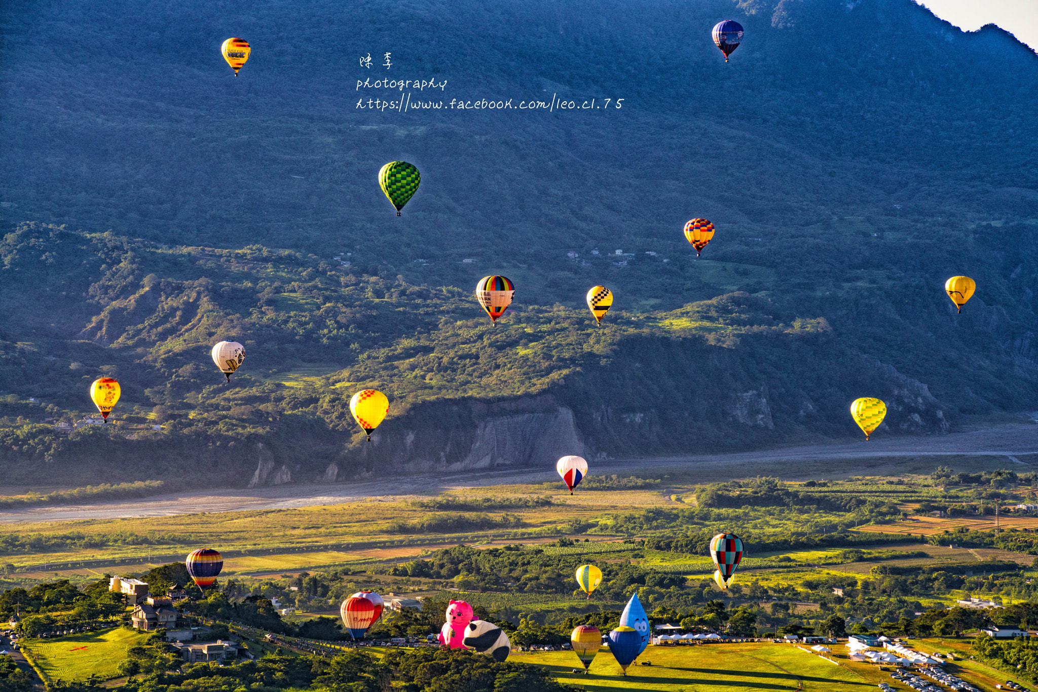 Sigma 50-200mm F4-5.6 DC OS HSM sample photo. Taiwan international balloon festival photography