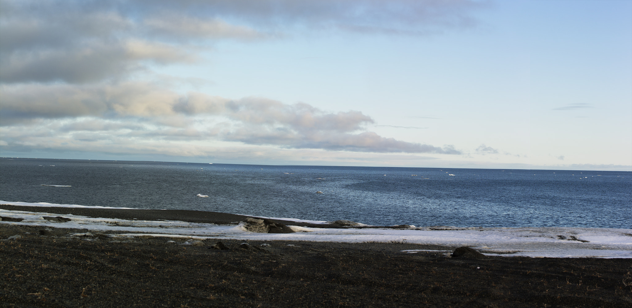 Canon EOS 650D (EOS Rebel T4i / EOS Kiss X6i) + Tamron SP AF 60mm F2 Di II LD IF Macro sample photo. Bering sea photography