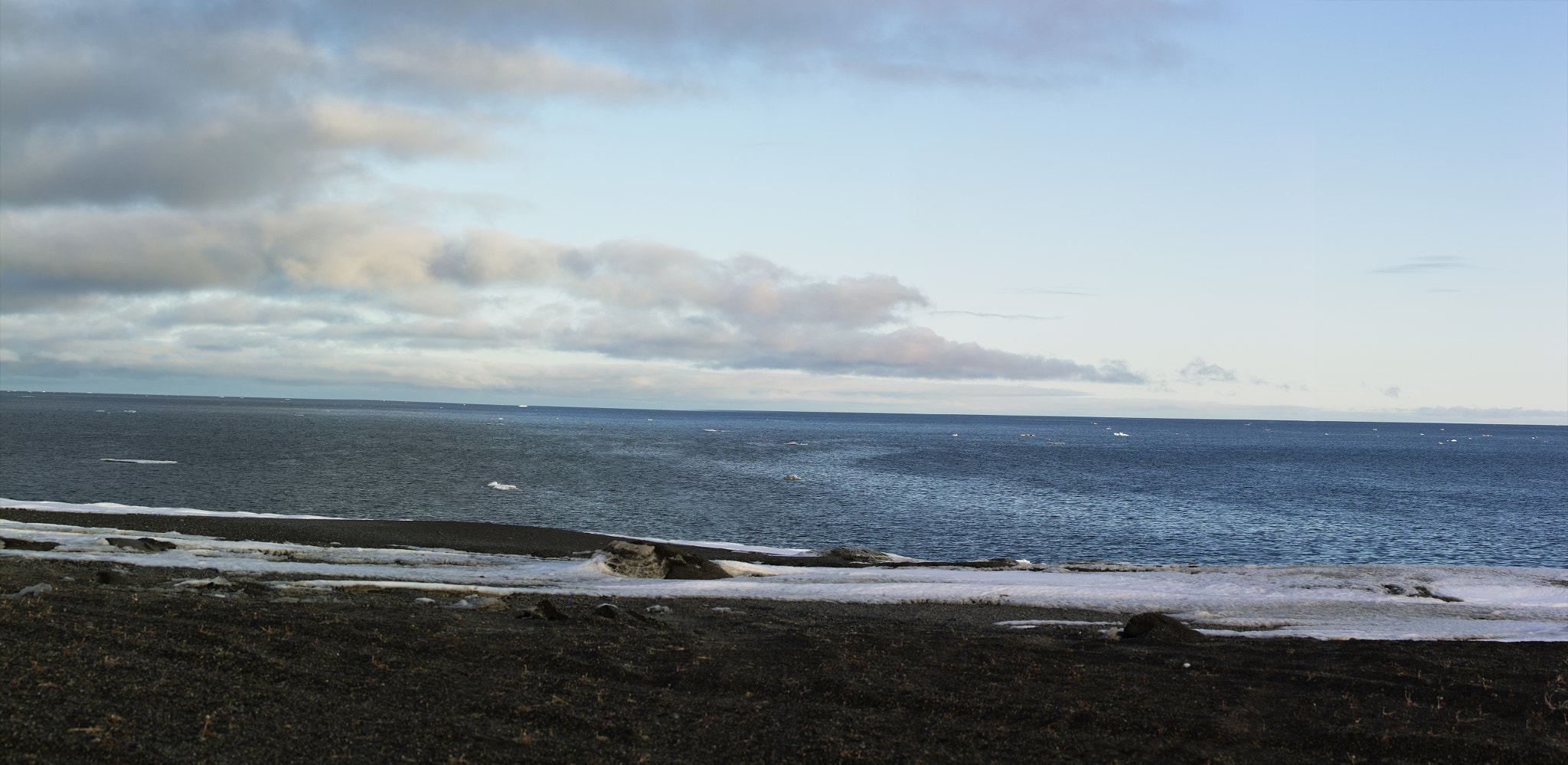Tamron SP AF 60mm F2 Di II LD IF Macro sample photo. Bering sea photography