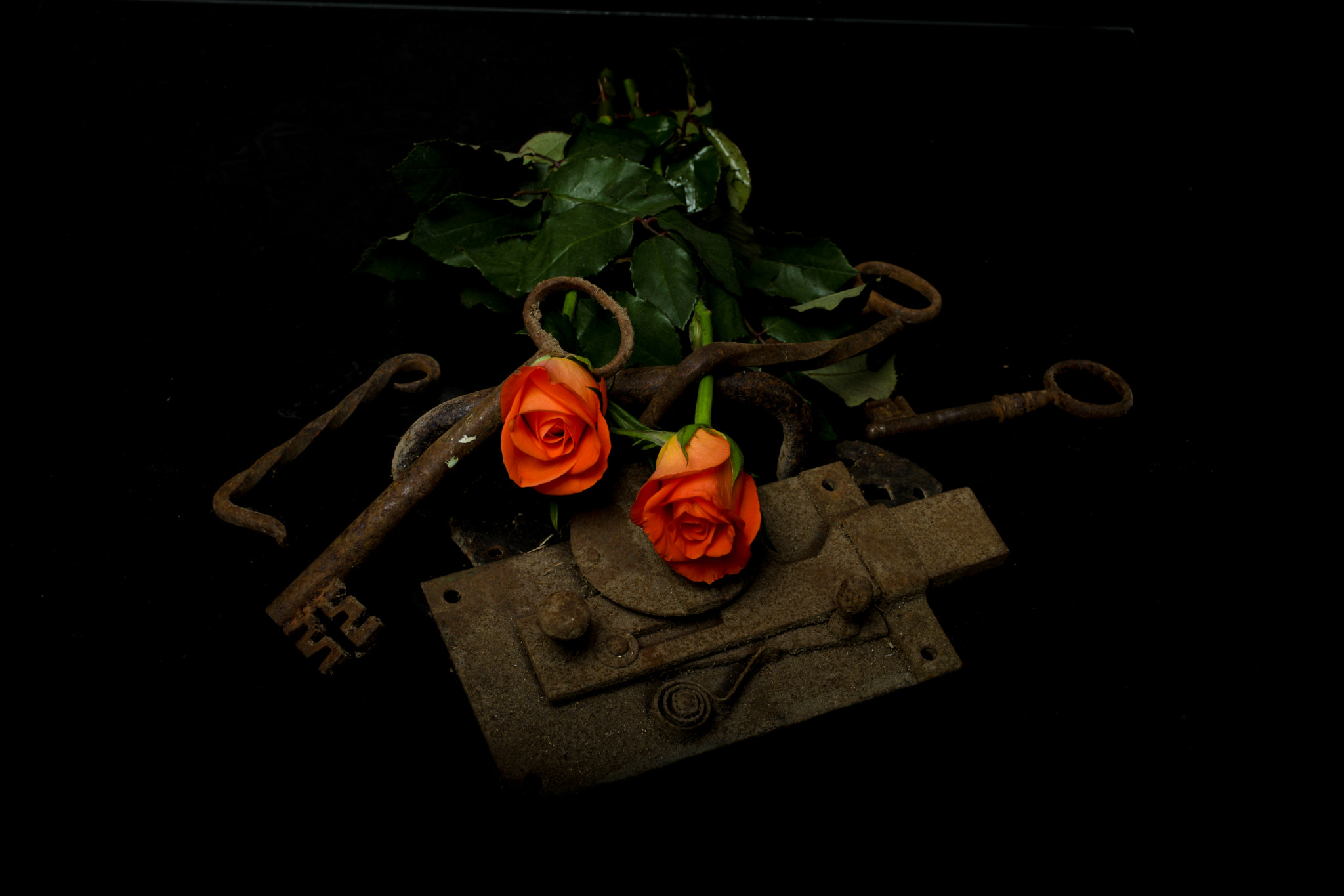 Canon EF 50mm F2.5 Macro sample photo. 2 roses photography