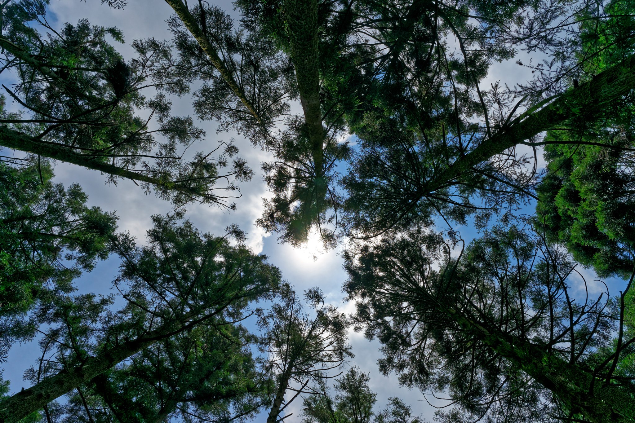 Sony a7 + ZEISS Batis 25mm F2 sample photo. Noon time photography
