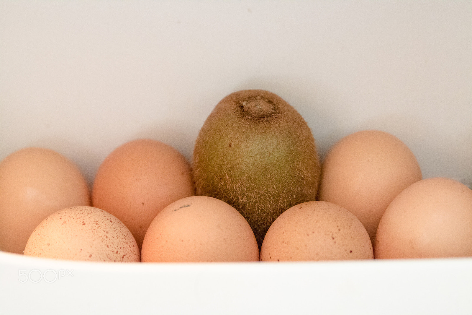 Canon EOS 750D (EOS Rebel T6i / EOS Kiss X8i) sample photo. Eggs & kiwi photography