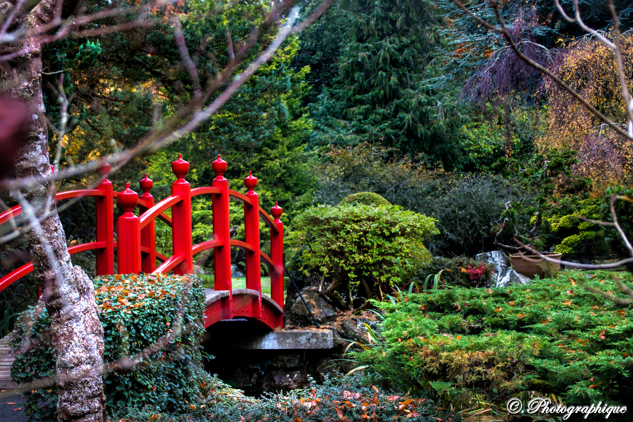 Canon EOS 760D (EOS Rebel T6s / EOS 8000D) + Canon TS-E 90mm F2.8 Tilt-Shift sample photo. Garden photography