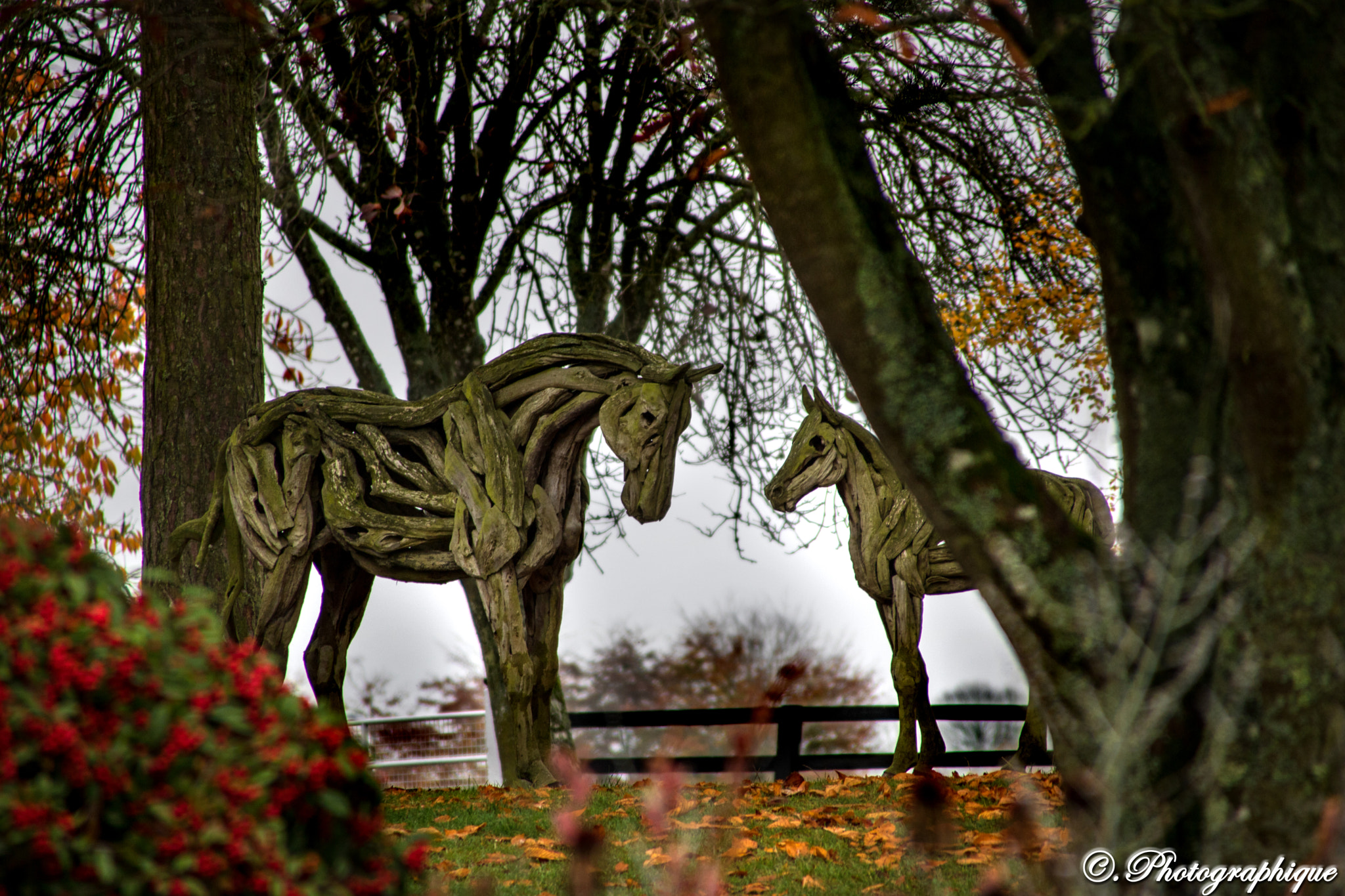Canon EOS 760D (EOS Rebel T6s / EOS 8000D) + Canon TS-E 90mm F2.8 Tilt-Shift sample photo. Wooden horses photography