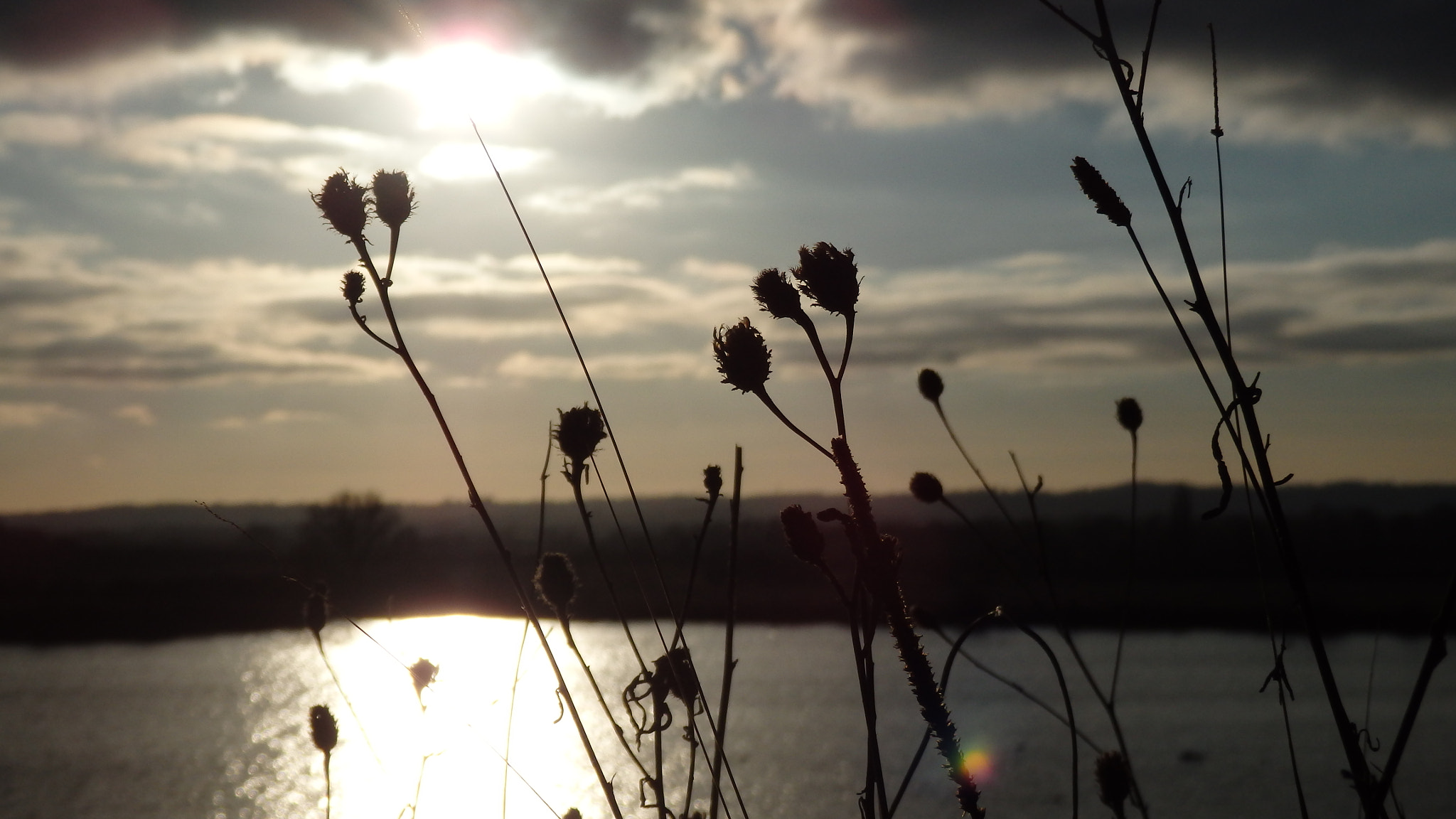 Olympus SH-50 sample photo. Silhouetted. photography