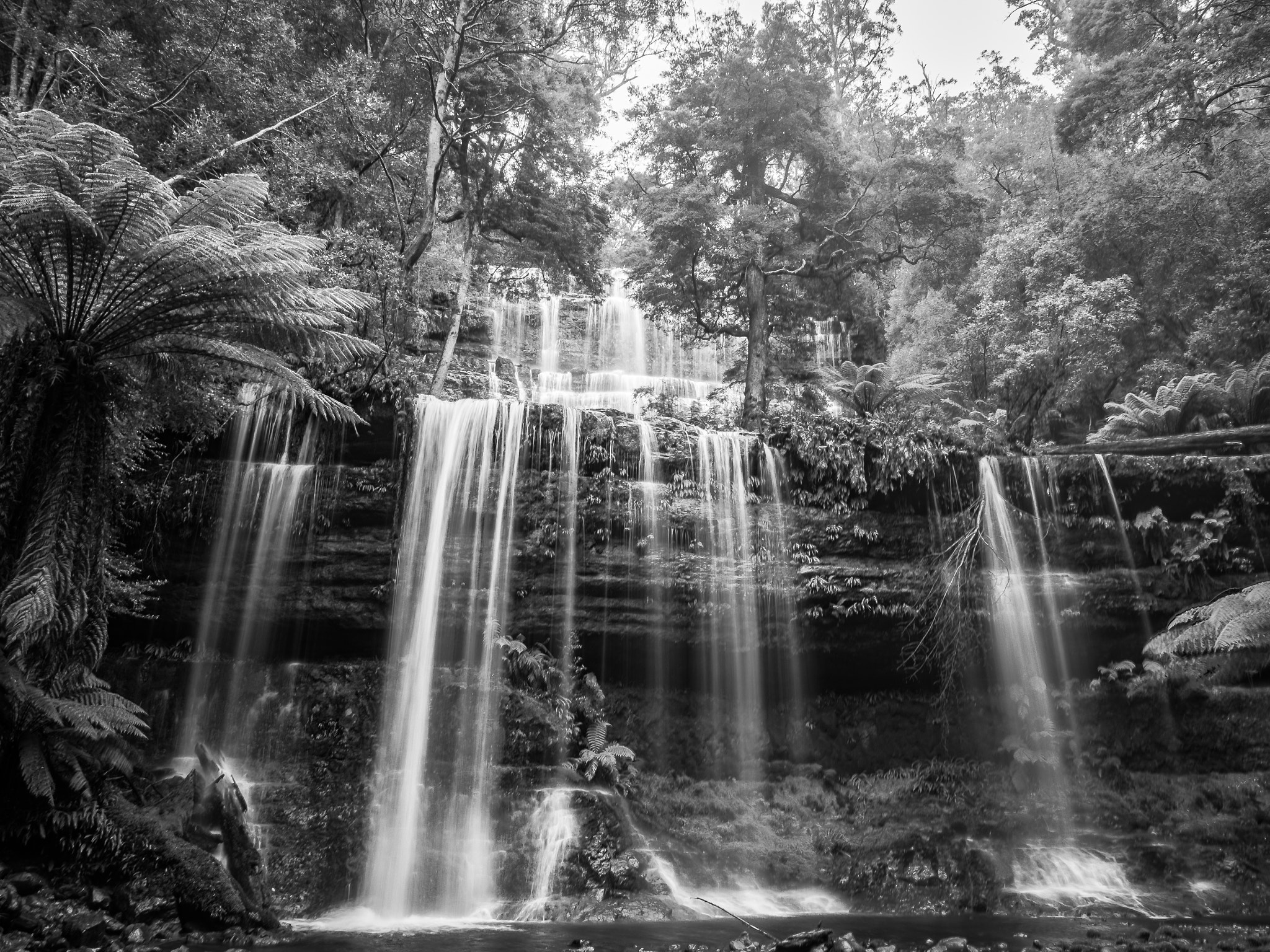 Panasonic Lumix DMC-G5 sample photo. Russell falls tasmania b&w photography