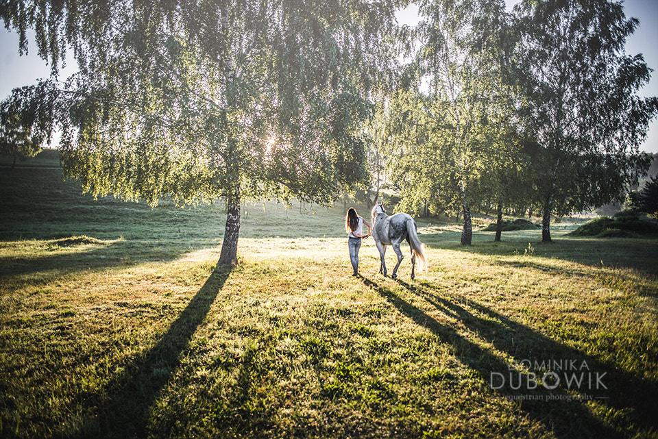 Nikon D600 + AF Nikkor 24mm f/2.8 sample photo. Into the sunrise photography