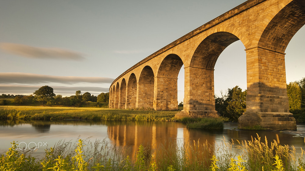 Sigma 10-20mm F4-5.6 EX DC HSM sample photo. Arthington viaduct photography