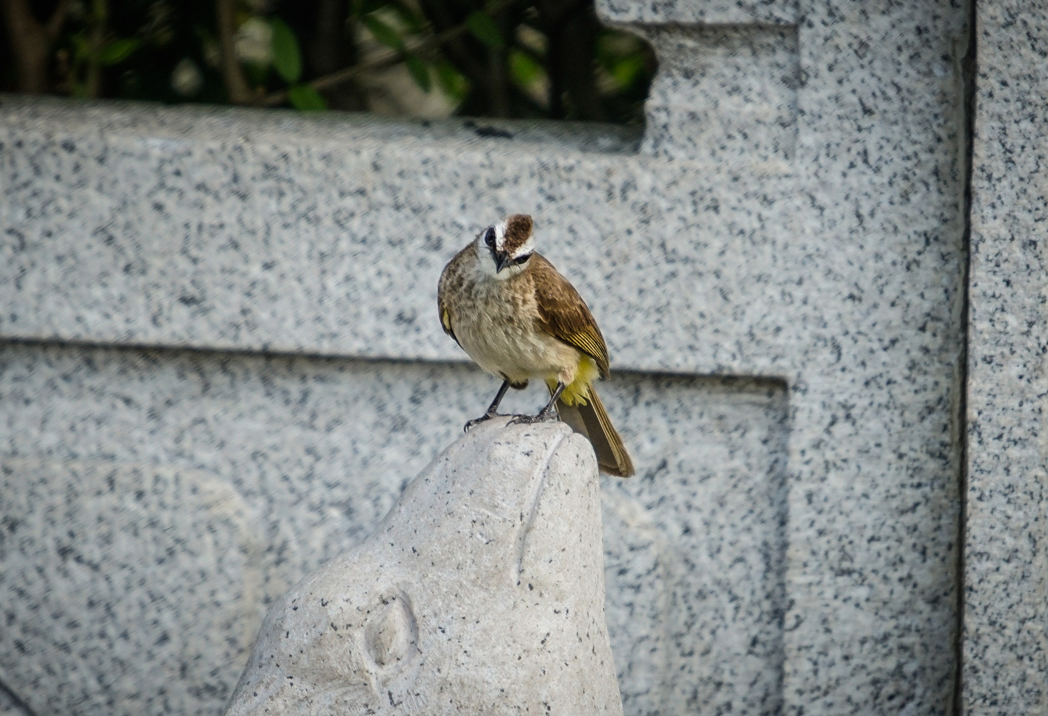 Minolta AF 300mm F2.8 HS-APO G sample photo