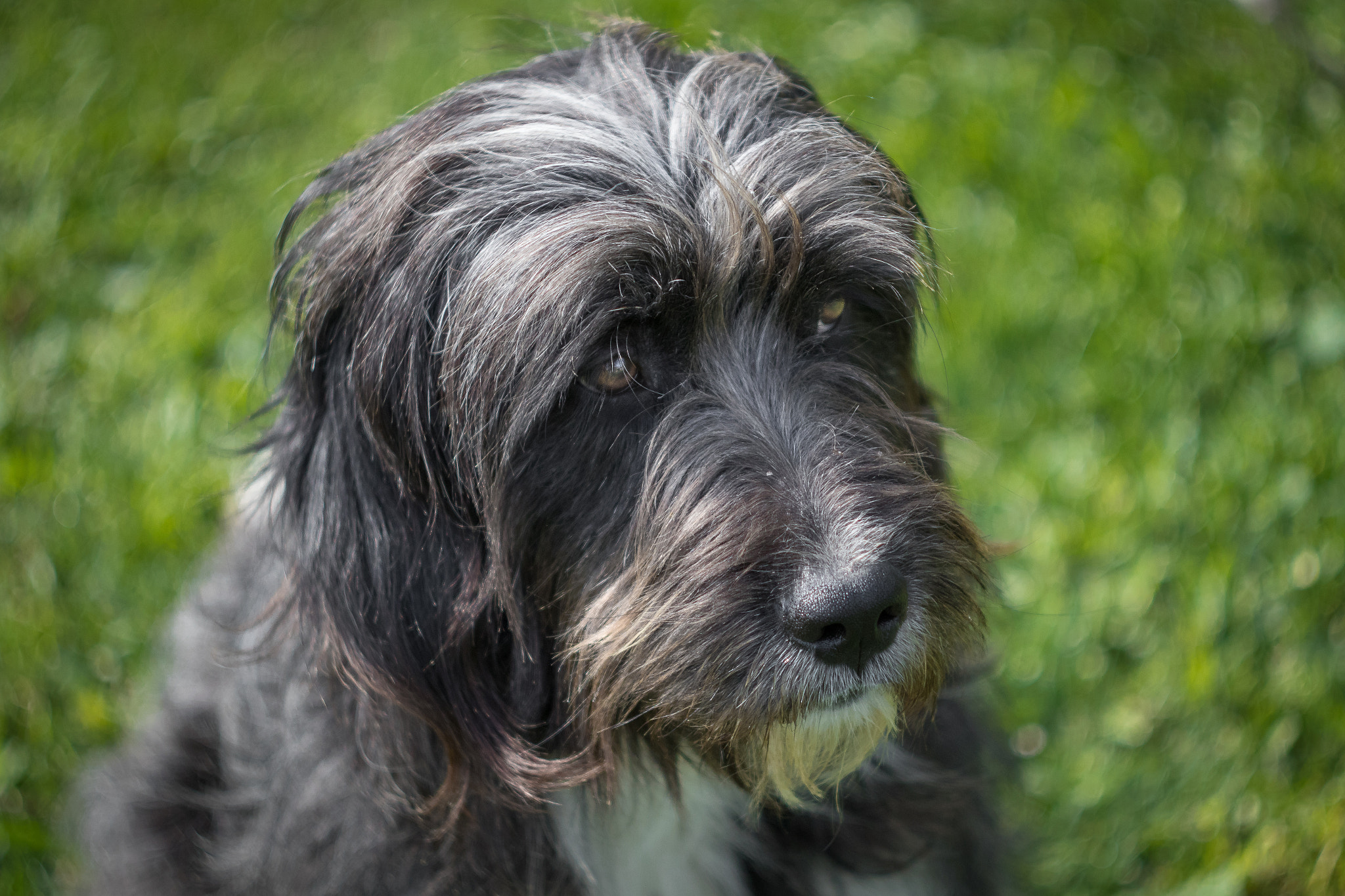 Canon EF 35-80mm f/4-5.6 sample photo. Kinotto photography