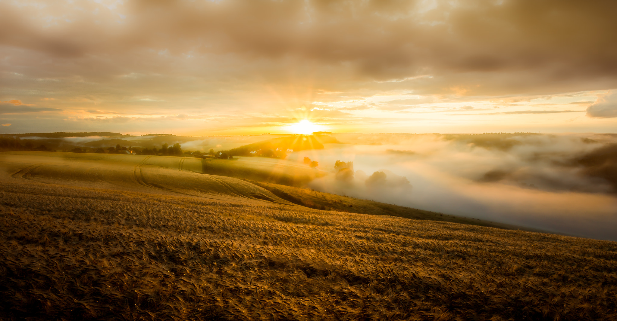 Sony SLT-A58 sample photo. Cornfield sunset photography