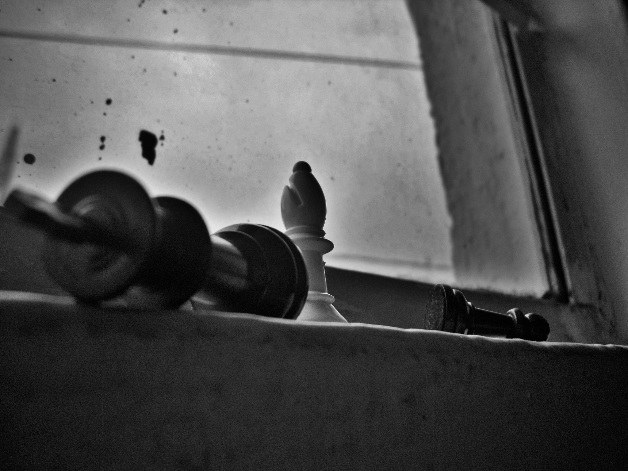 Samsung PL90/VLUU PL90 sample photo. La fuerza del grano de arena
 photography