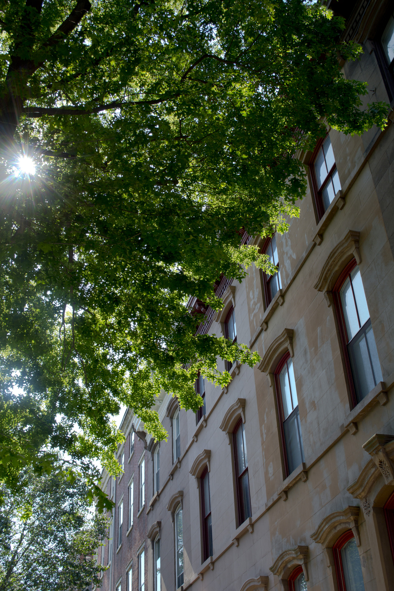 AF Zoom-Nikkor 24-50mm f/3.3-4.5 sample photo. Bright sun photography