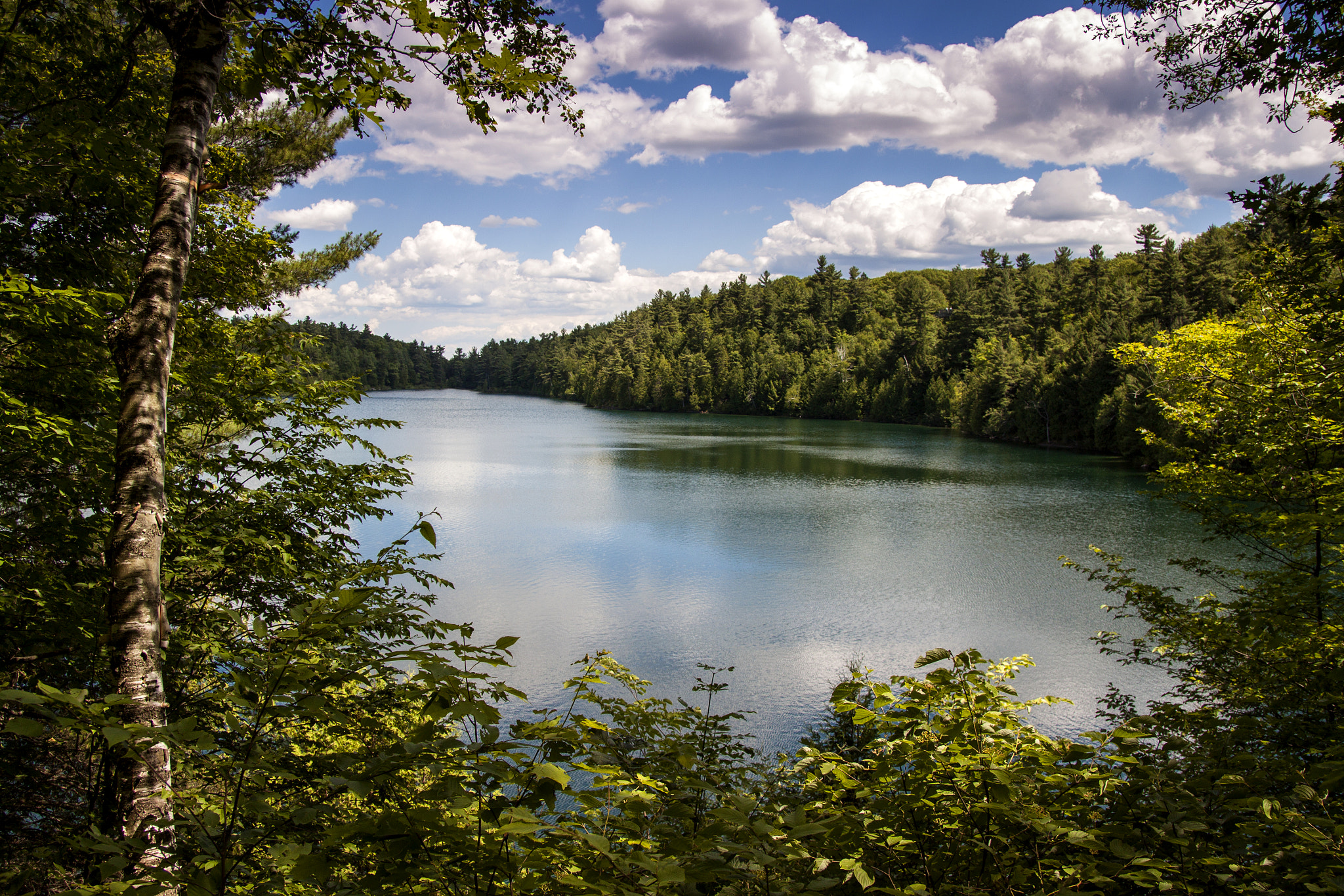 Canon EOS 500D (EOS Rebel T1i / EOS Kiss X3) sample photo. Pink lake photography