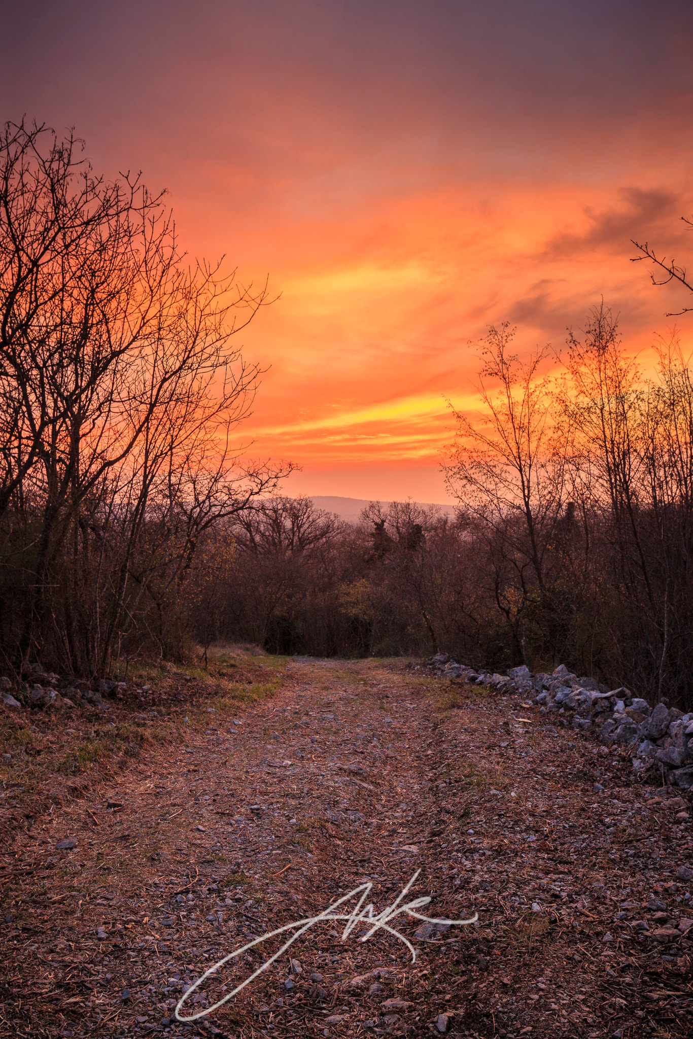 Canon EOS-1Ds Mark III sample photo. Somrak photography