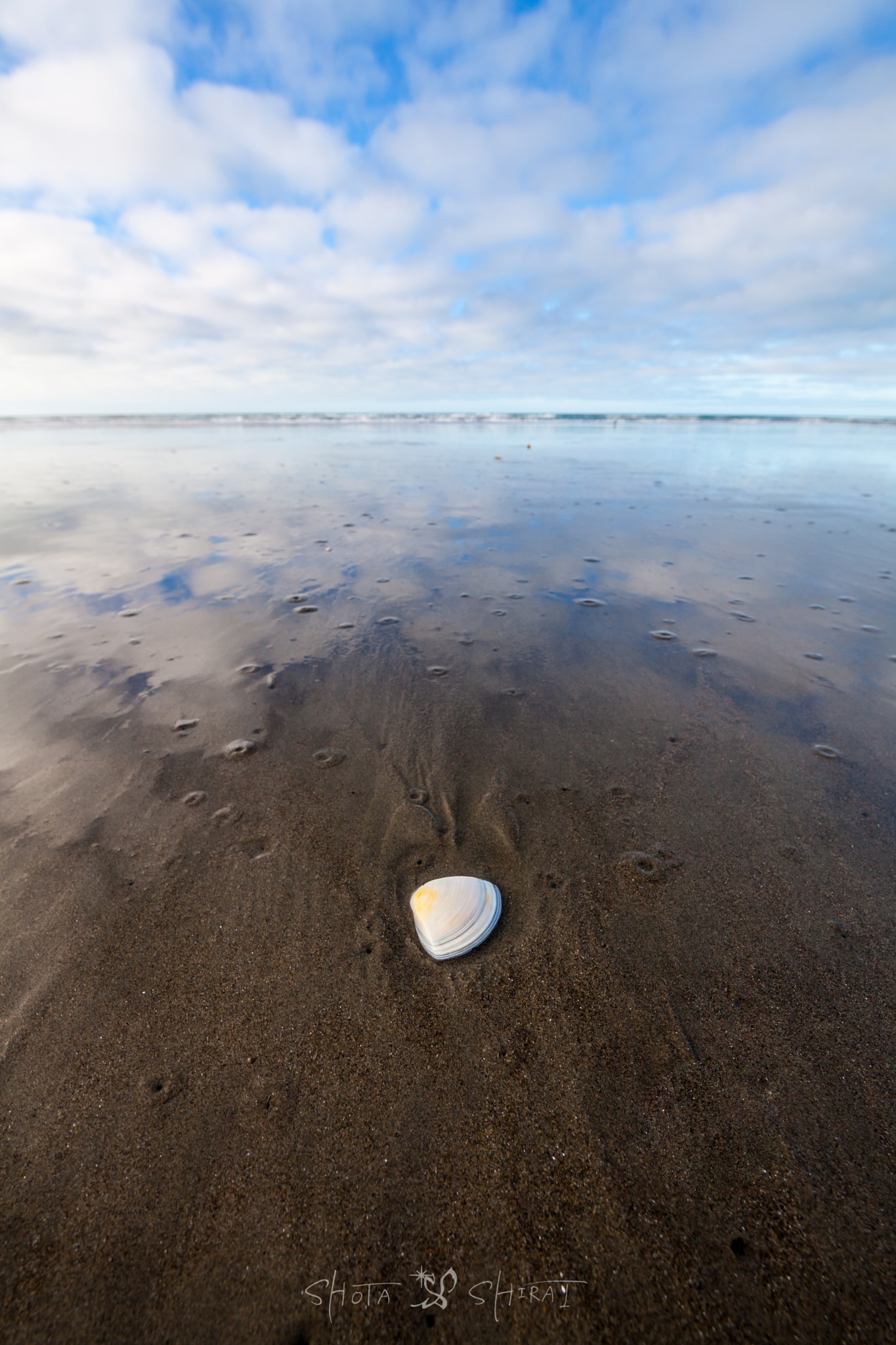 Canon EF 300mm f/2.8L sample photo. Gift from the sea photography