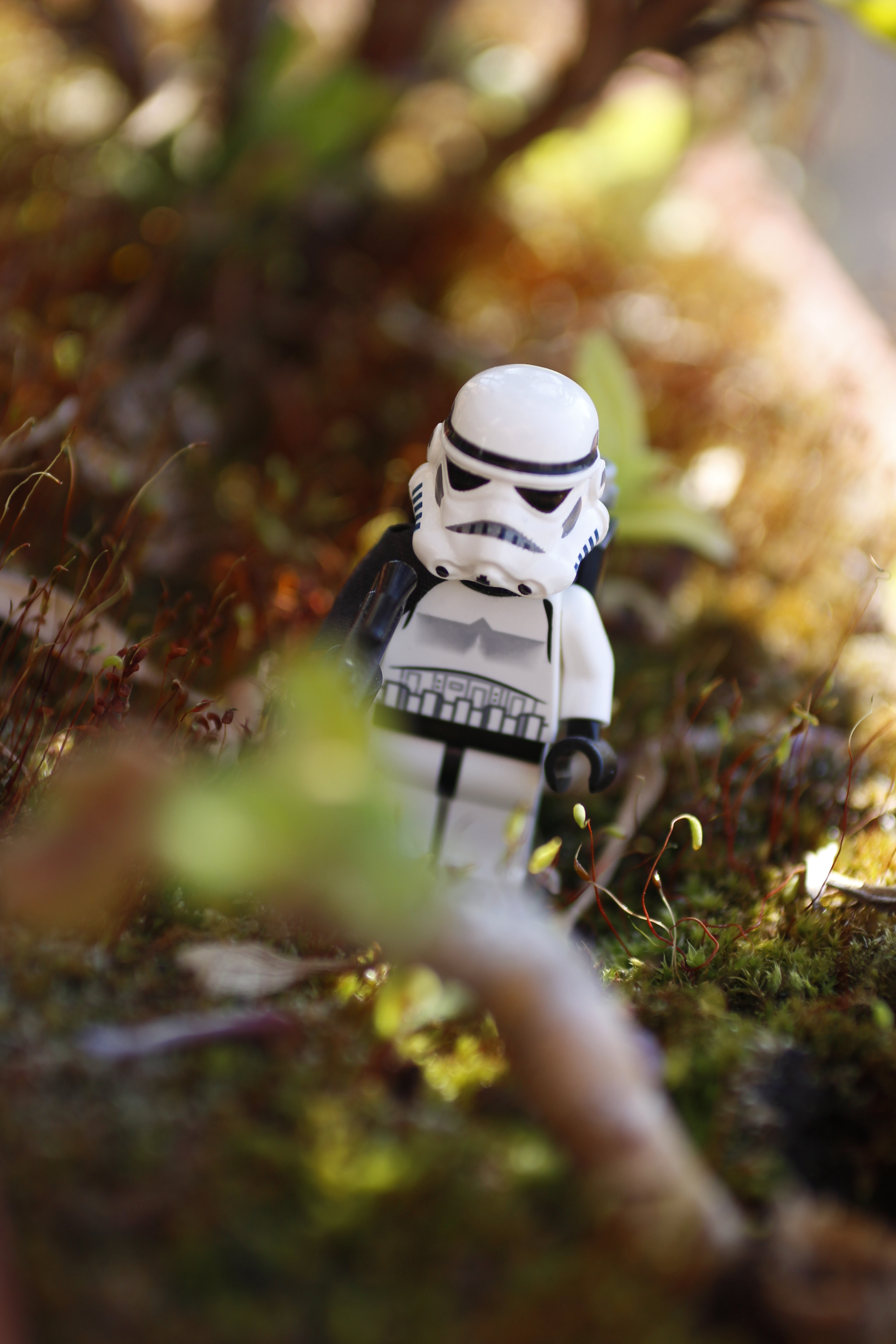 Sigma 50mm f/2.8 EX sample photo. Stormtrooper photography
